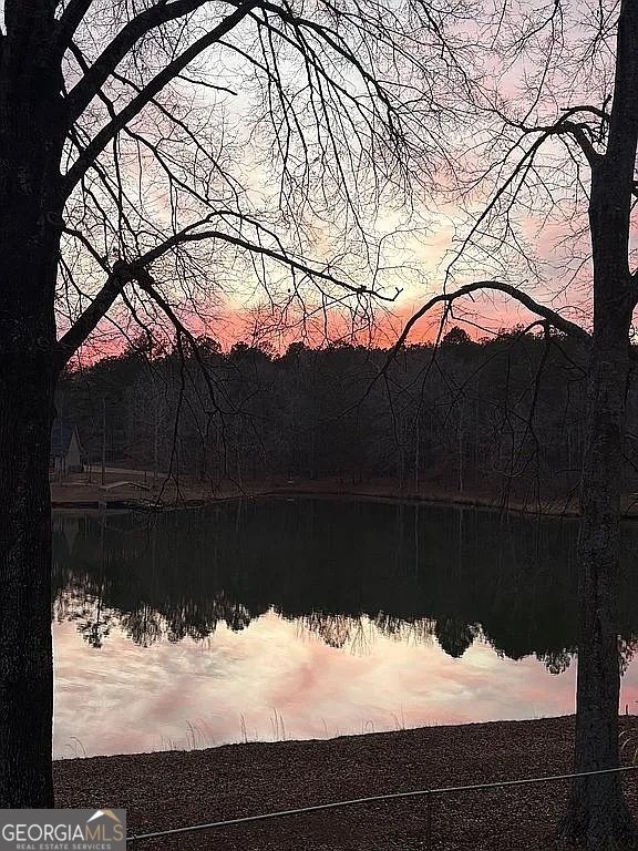 1448 Bohannon Road Grantville - Photo 16