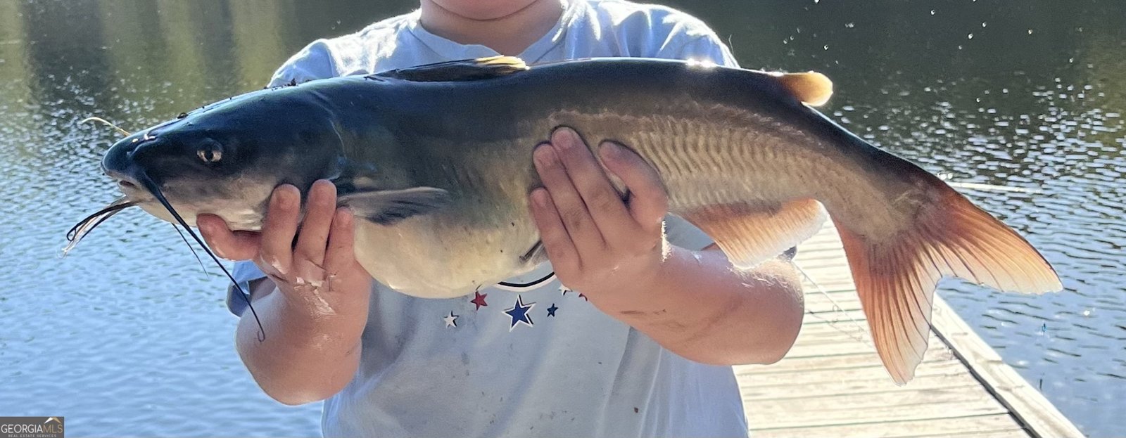 1448 Bohannon Road Grantville - Photo 22