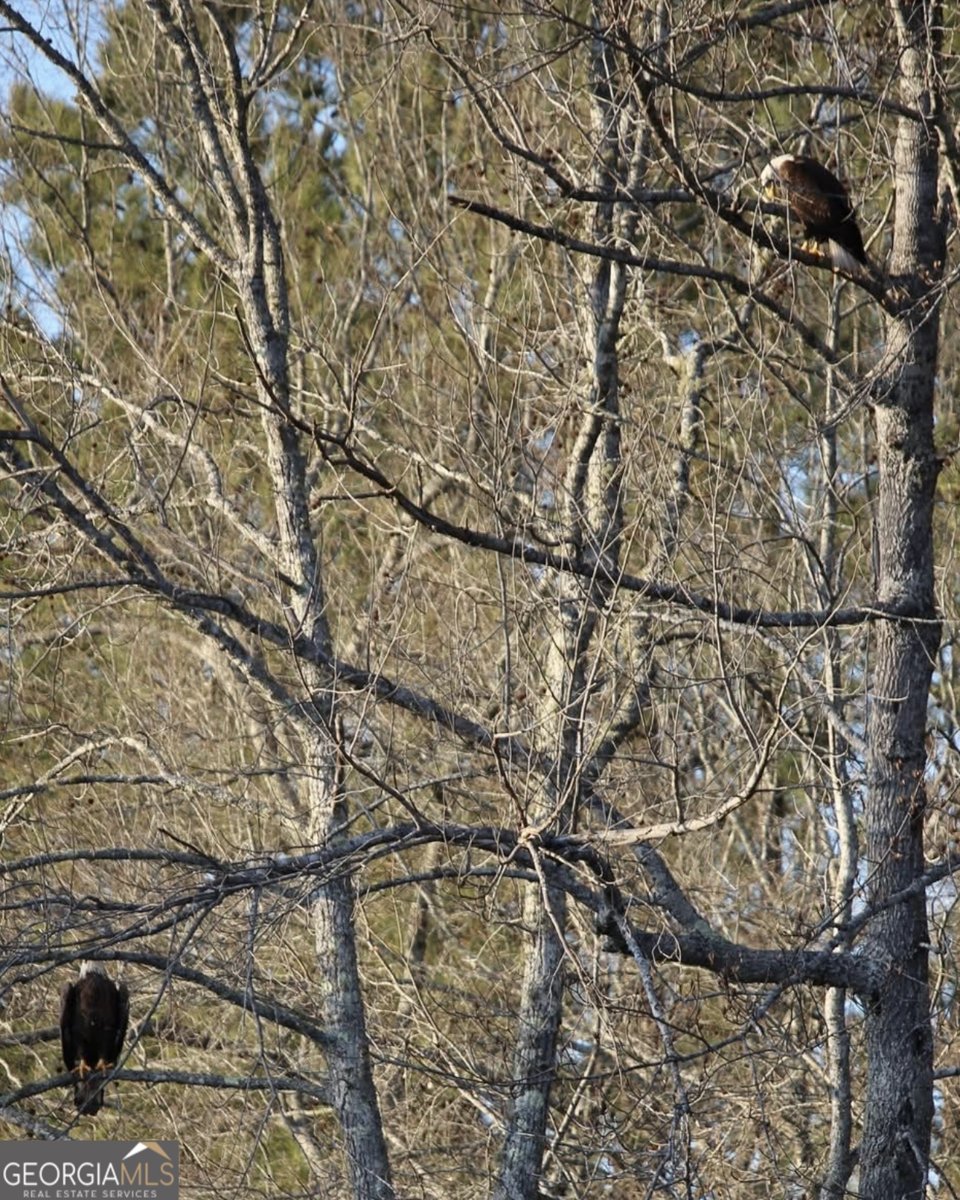 1448 Bohannon Road Grantville - Photo 27