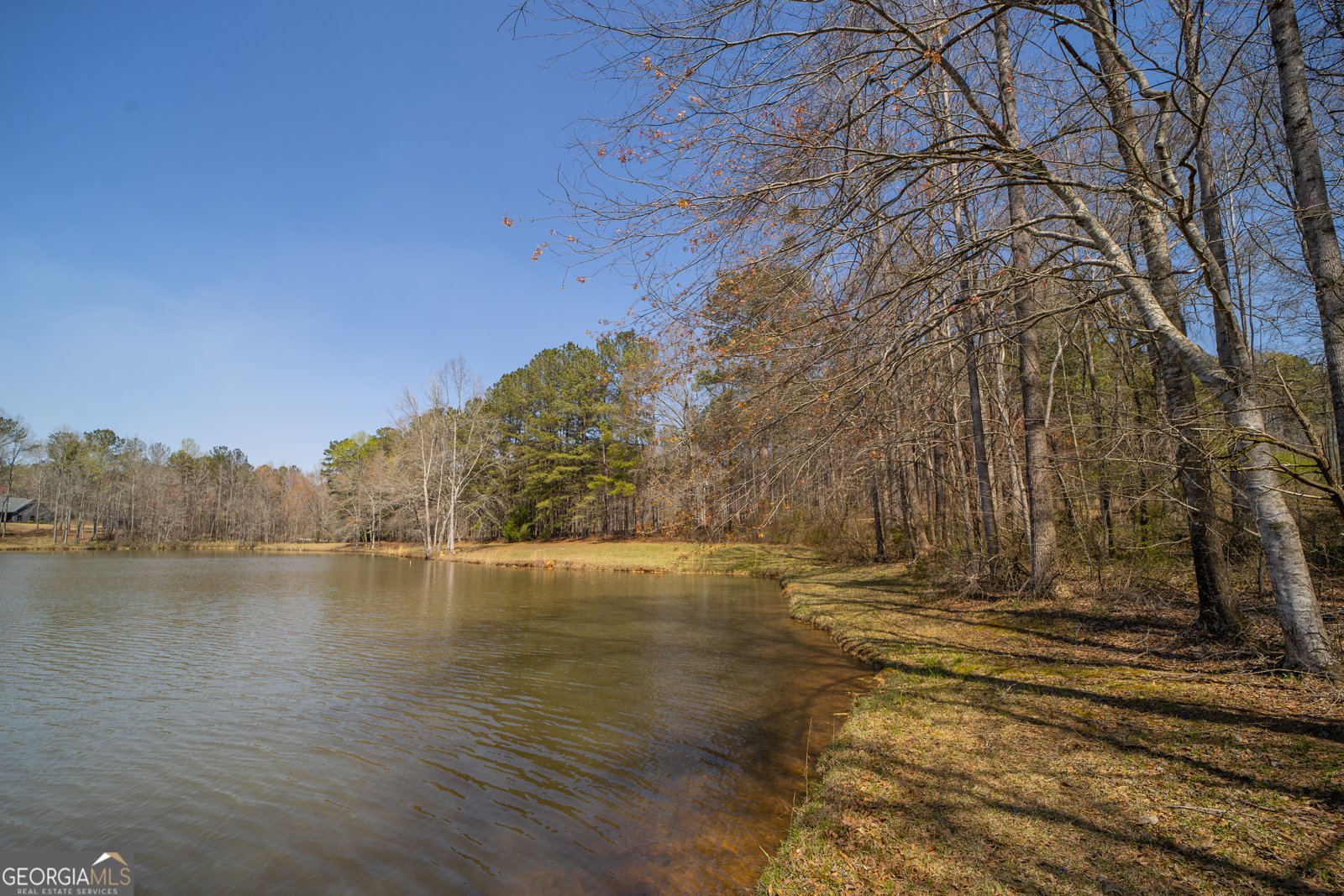 1448 Bohannon Road Grantville - Photo 32