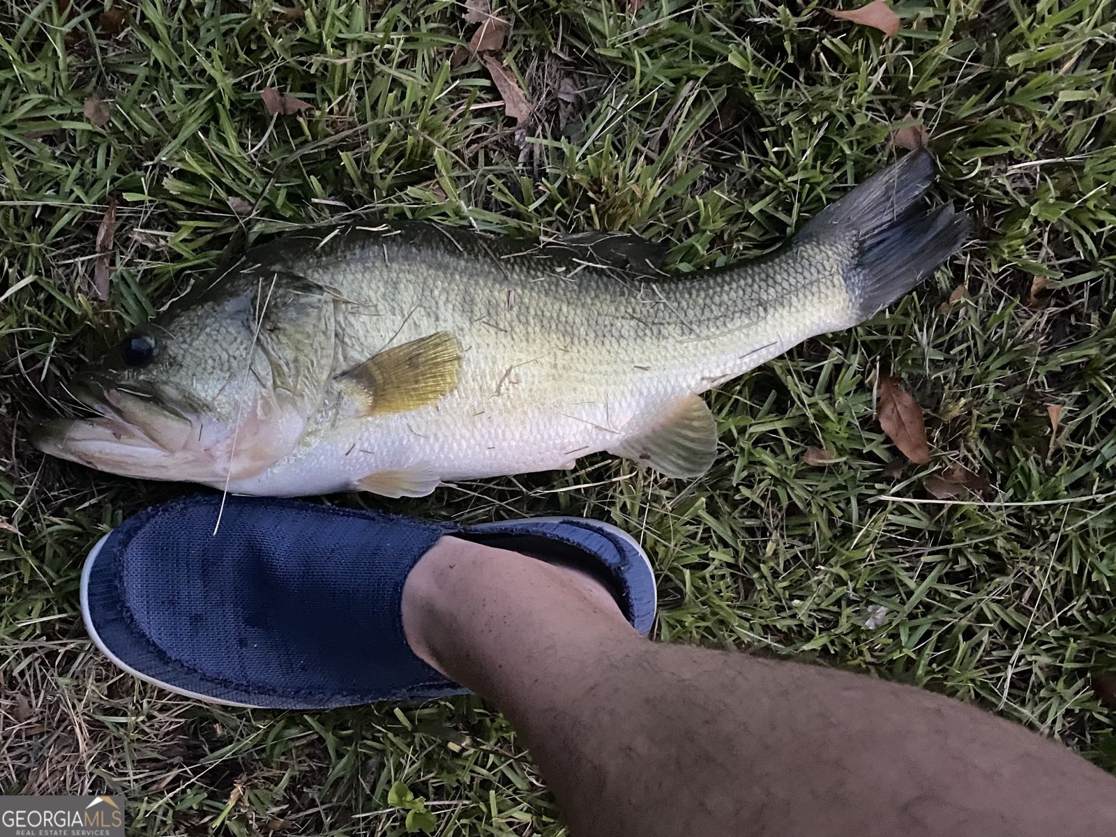 1448 Bohannon Road Grantville - Photo 35