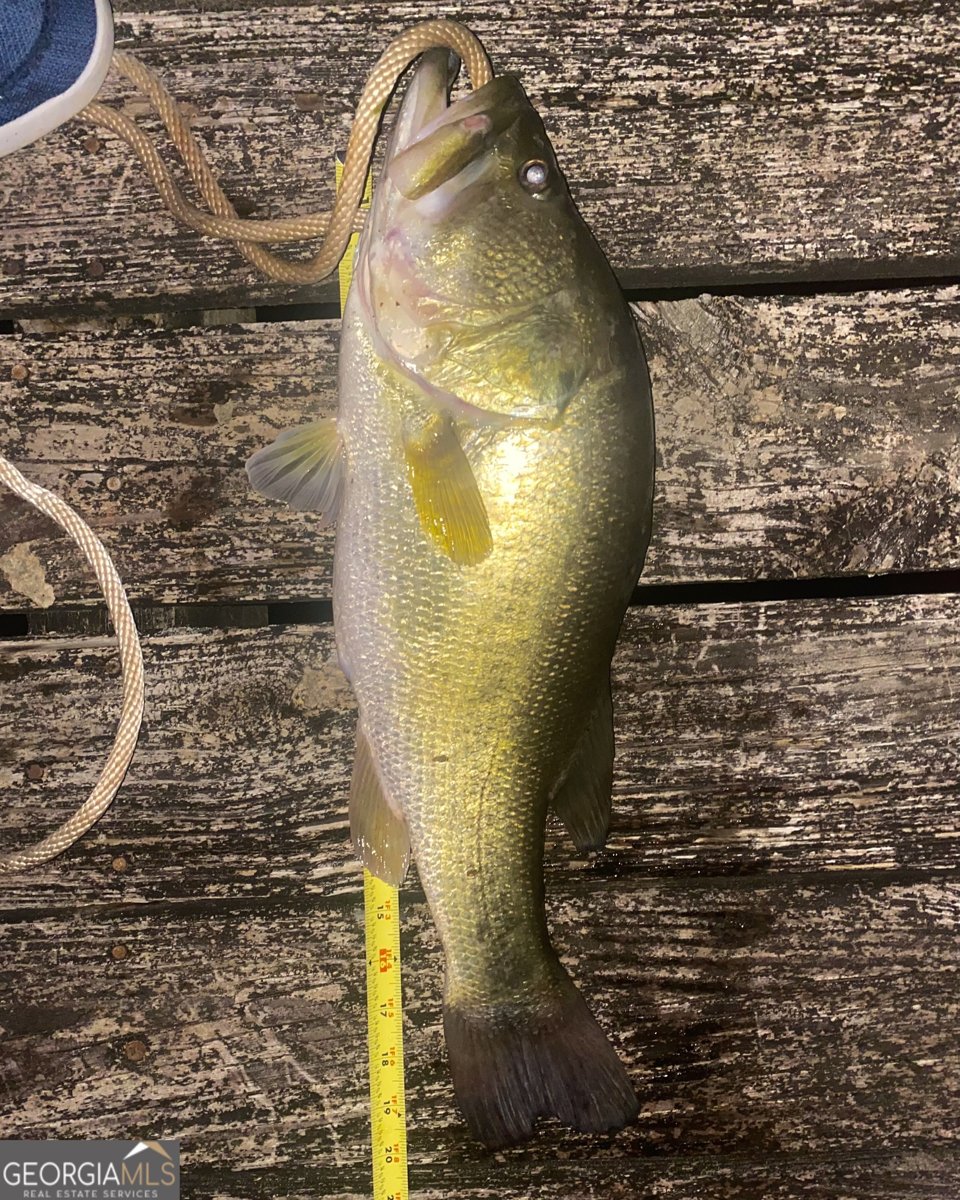 1448 Bohannon Road Grantville - Photo 36