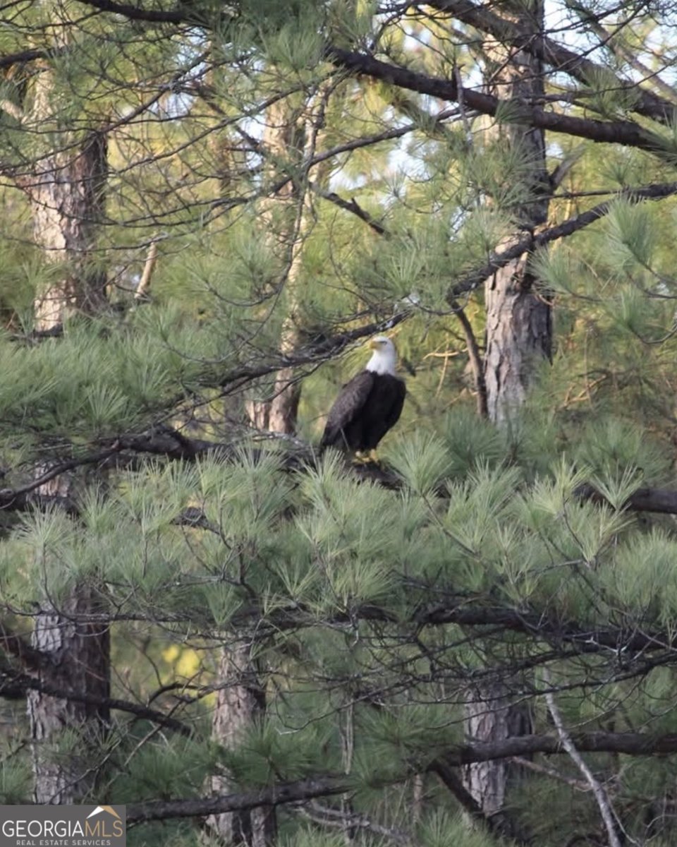 1448 Bohannon Road Grantville - Photo 37