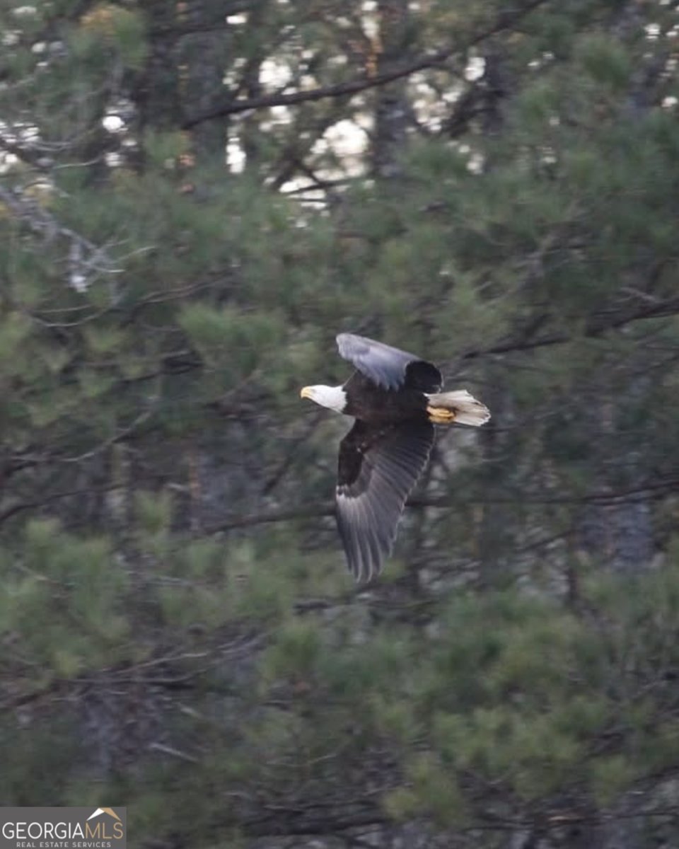 1448 Bohannon Road Grantville - Photo 38