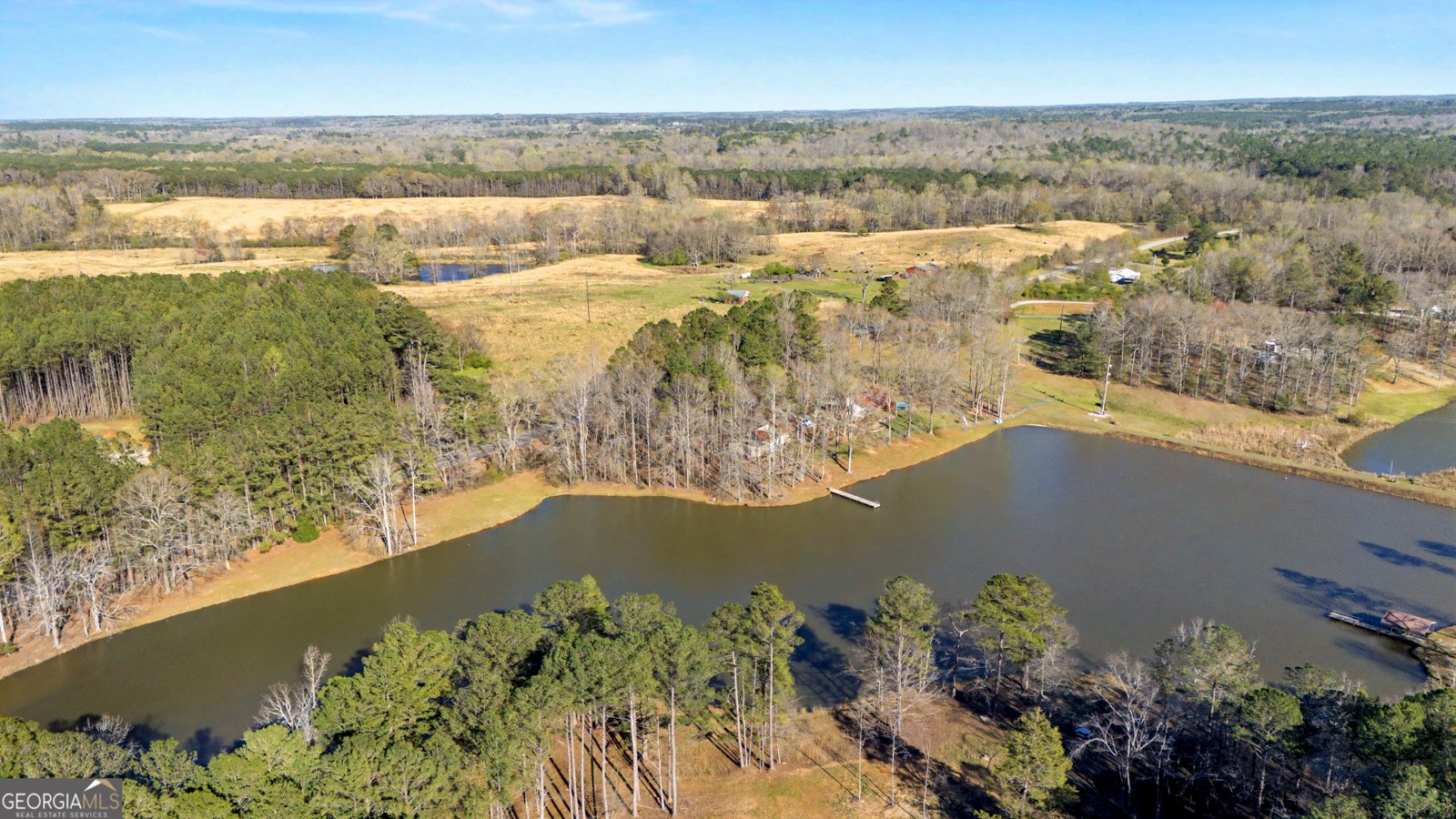 1448 Bohannon Road Grantville - Photo 40