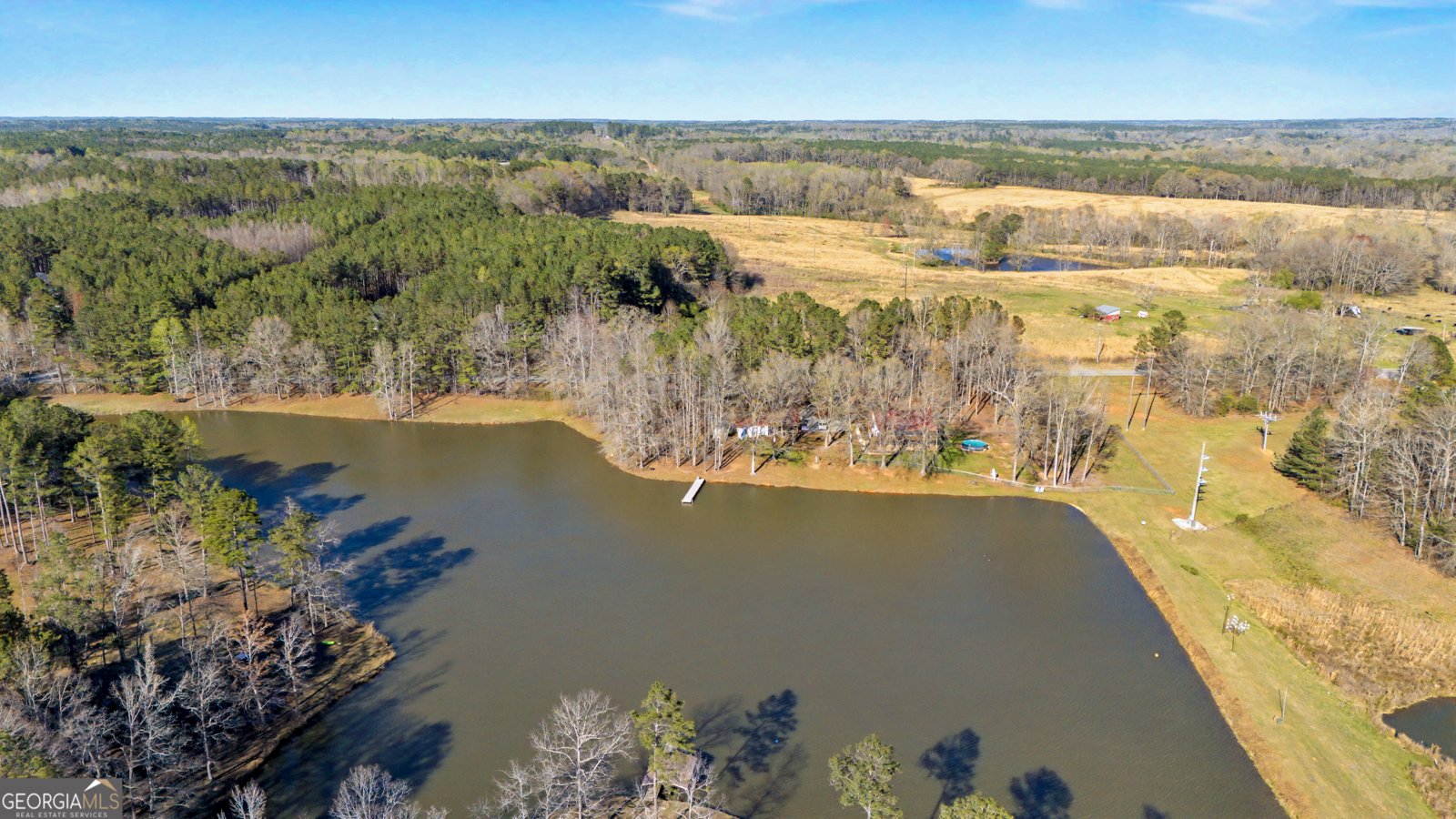 1448 Bohannon Road Grantville - Photo 41