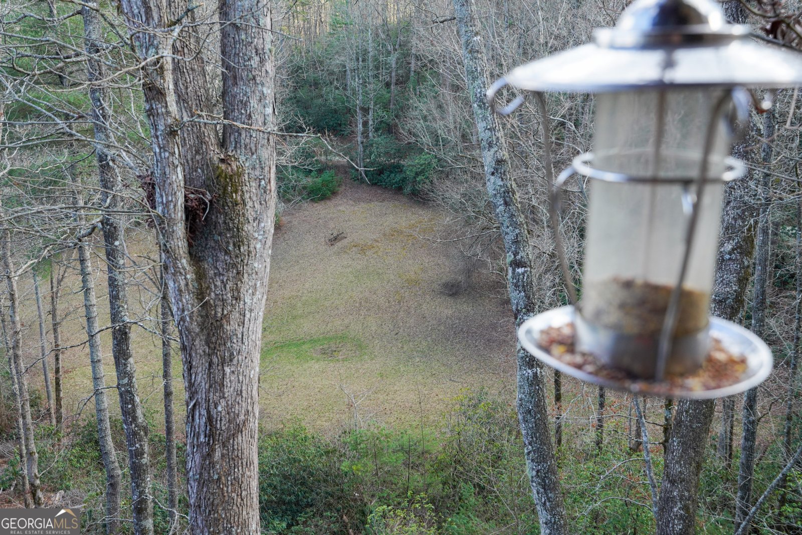 5232 CROW CREEK Road LAKEMONT - Photo 11