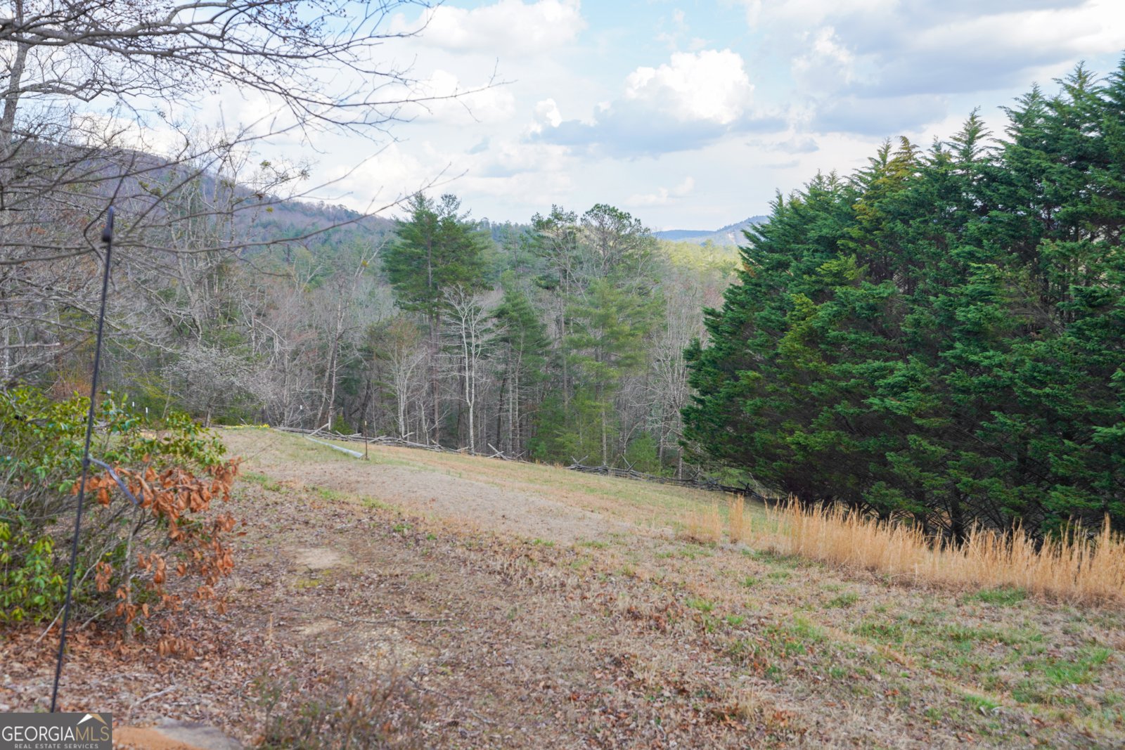 5232 CROW CREEK Road LAKEMONT - Photo 39