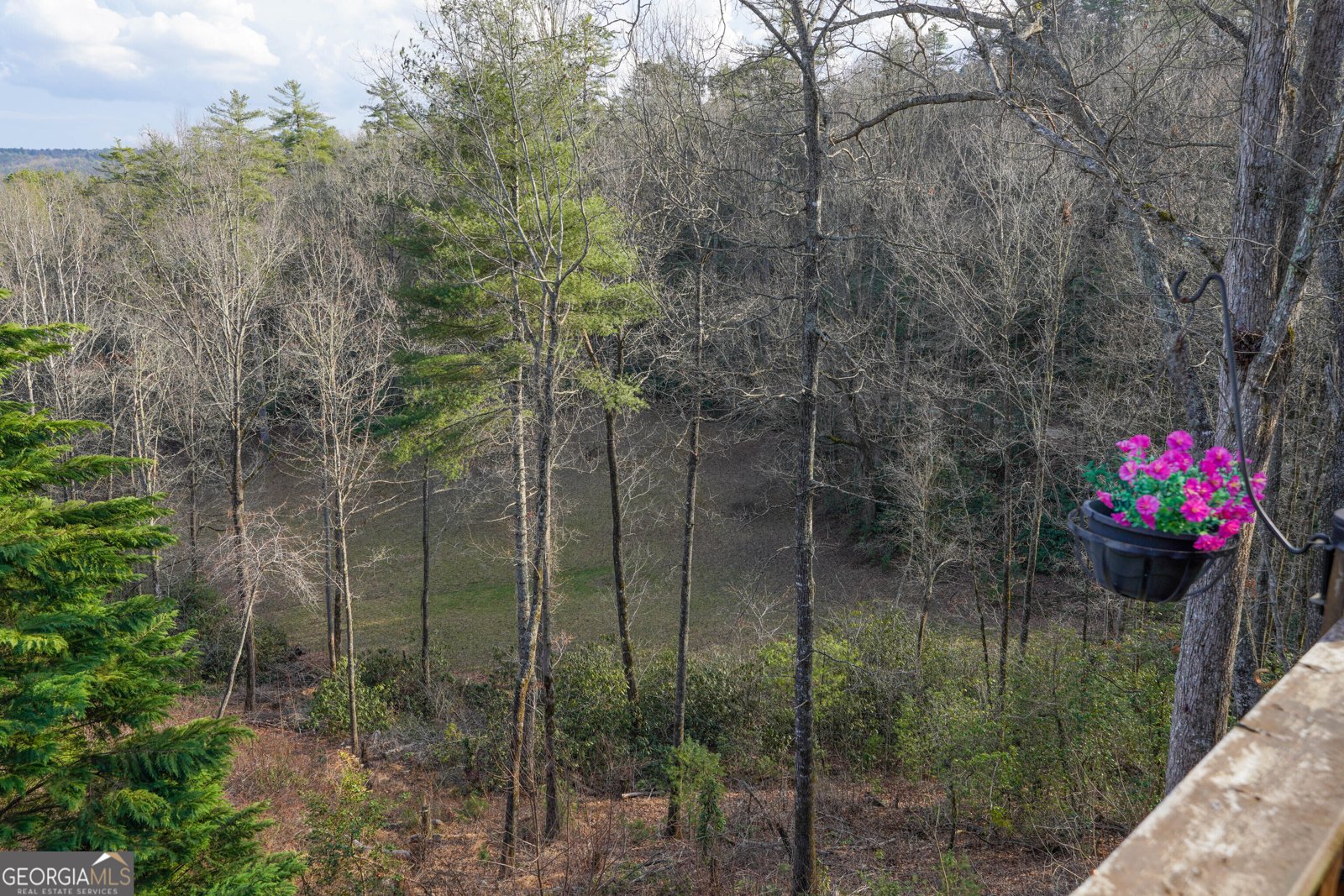 5232 CROW CREEK Road LAKEMONT - Photo 47