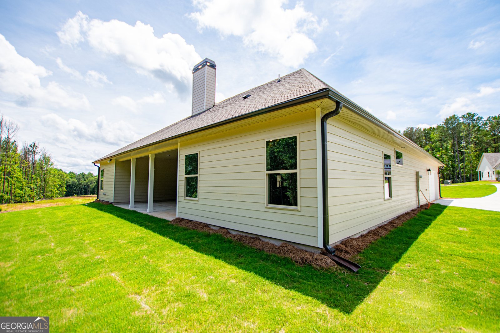 133 Woodford Drive Roopville - Photo 28