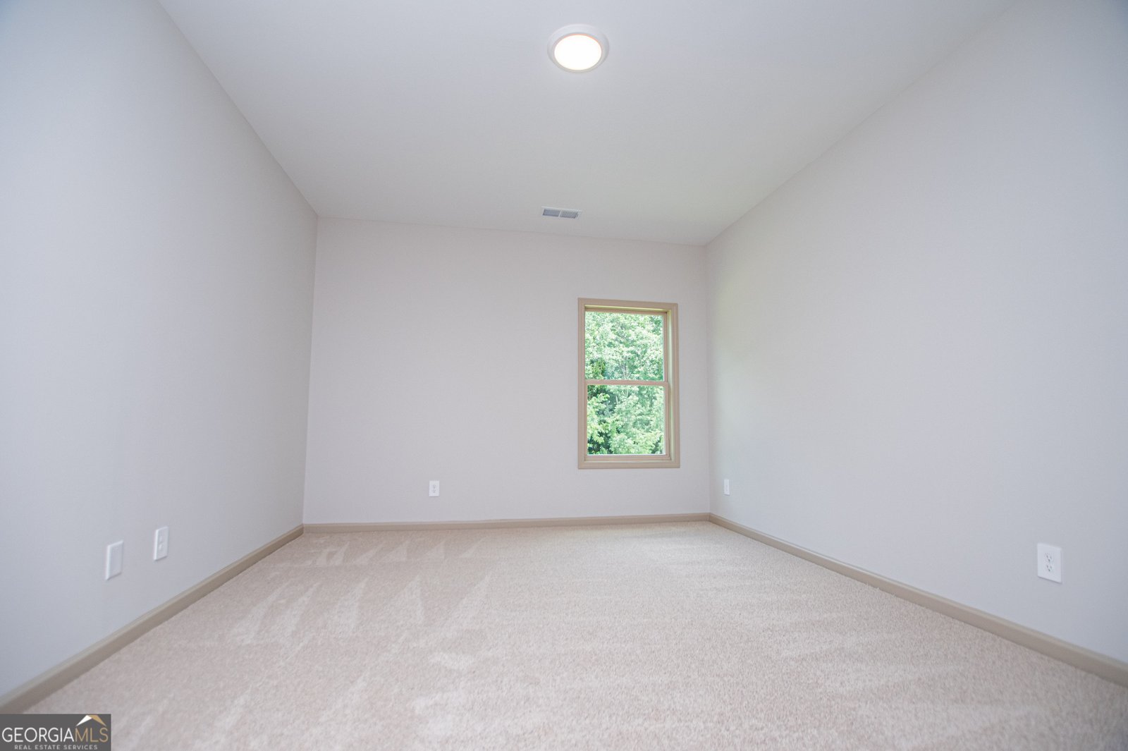 133 Woodford Drive Roopville - Photo 70