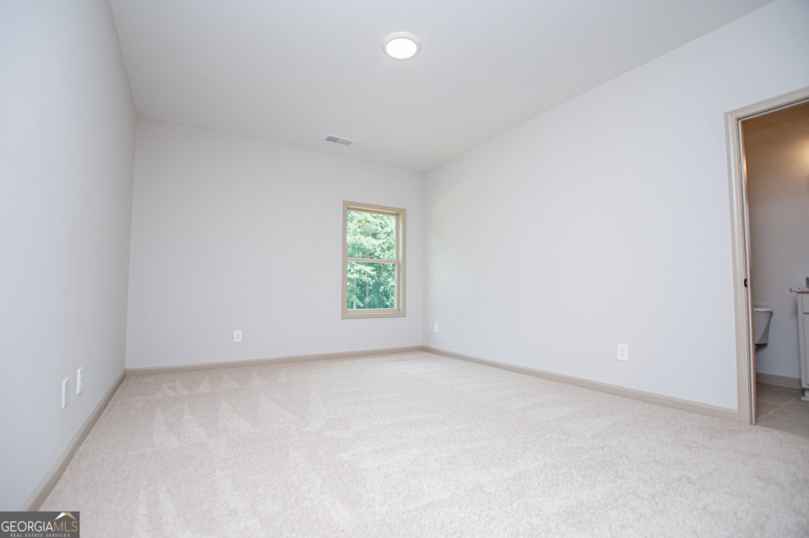 133 Woodford Drive Roopville - Photo 71