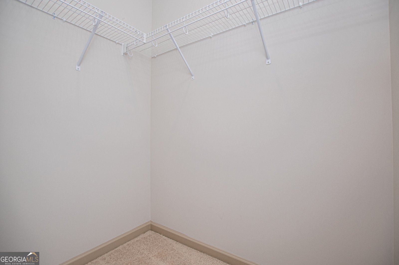 133 Woodford Drive Roopville - Photo 73