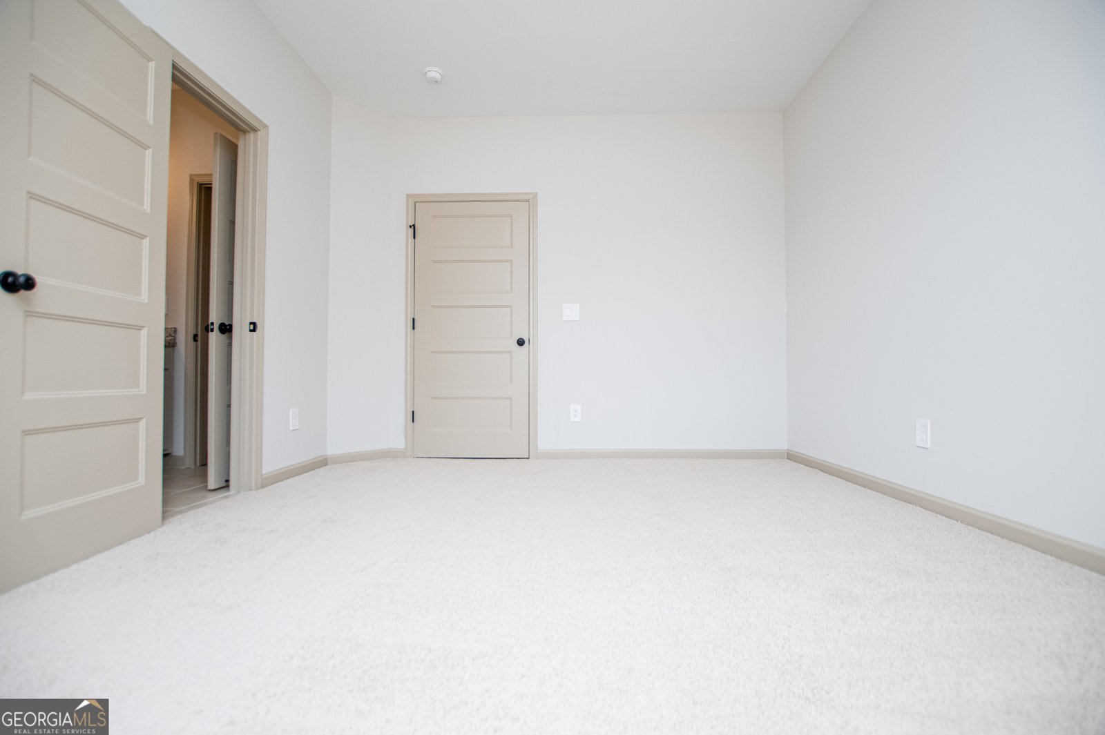 133 Woodford Drive Roopville - Photo 78