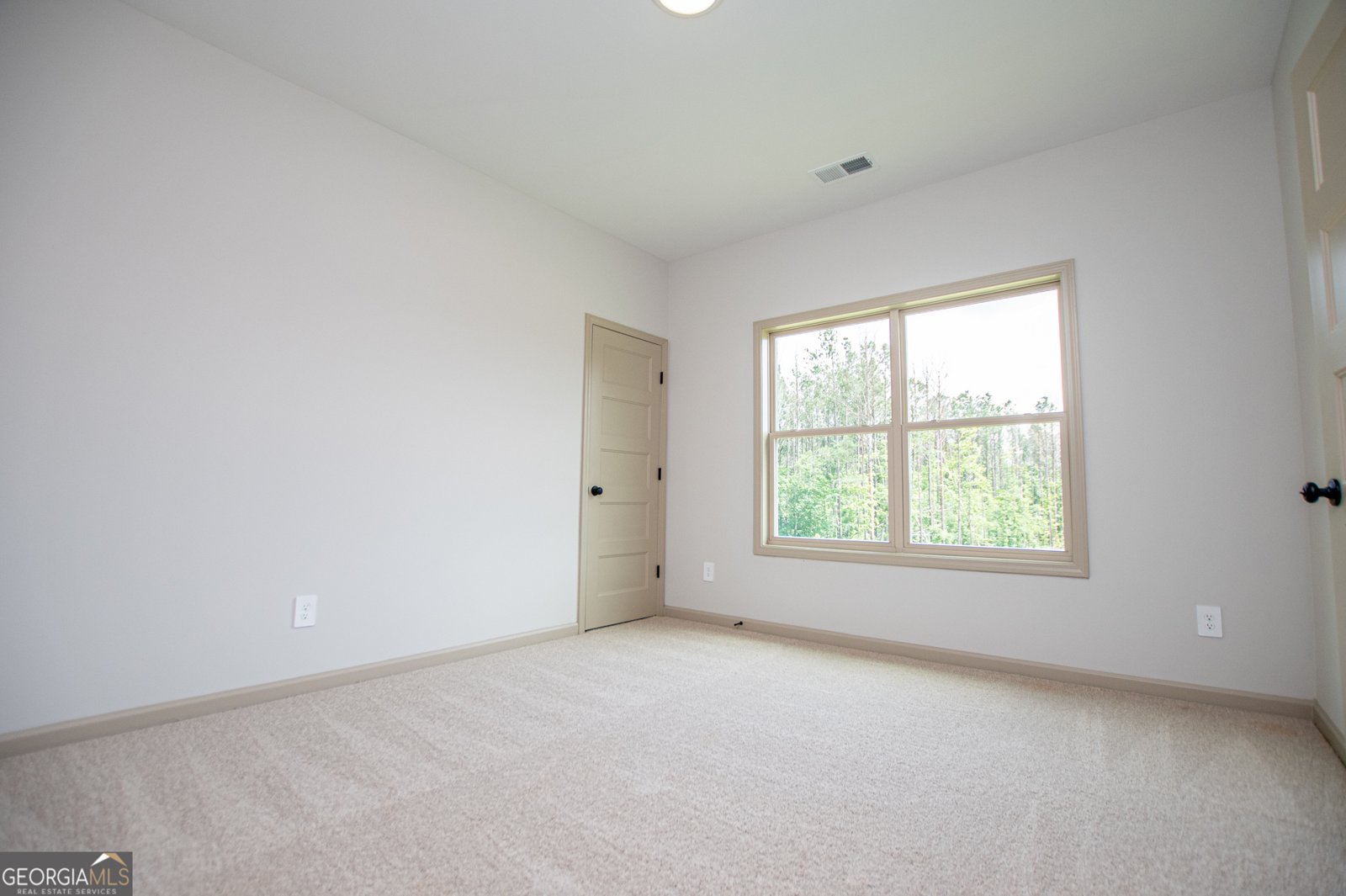 133 Woodford Drive Roopville - Photo 89