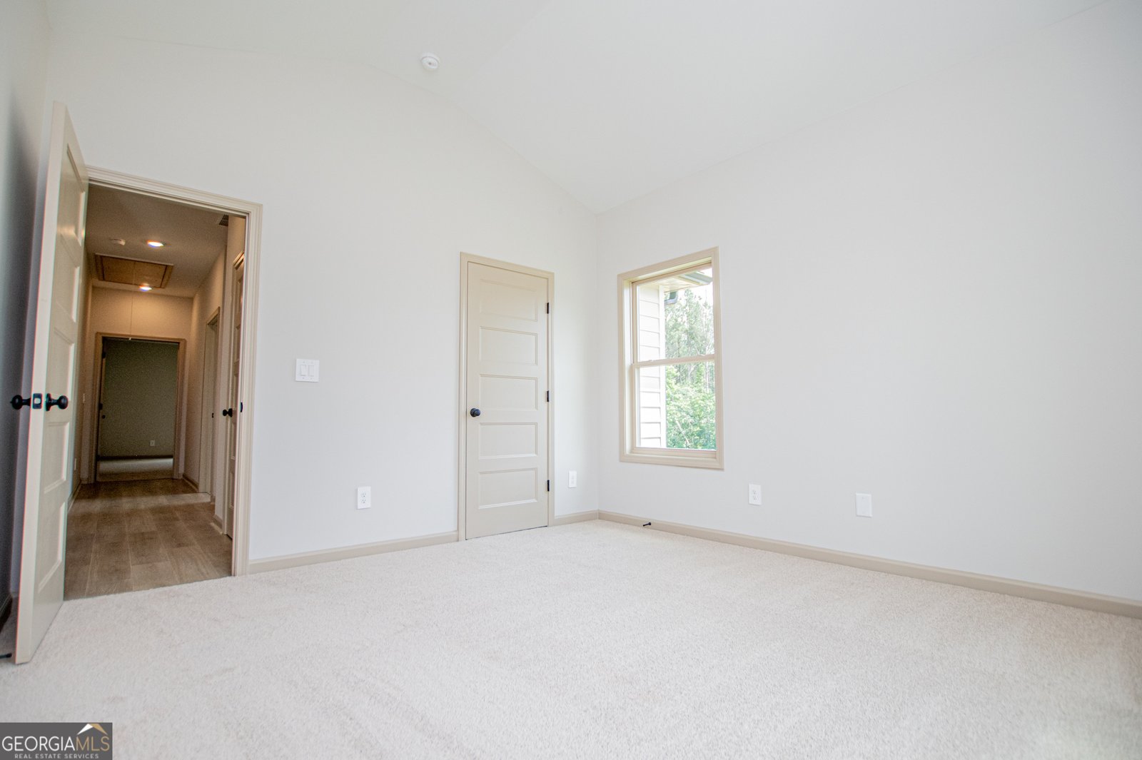 133 Woodford Drive Roopville - Photo 92