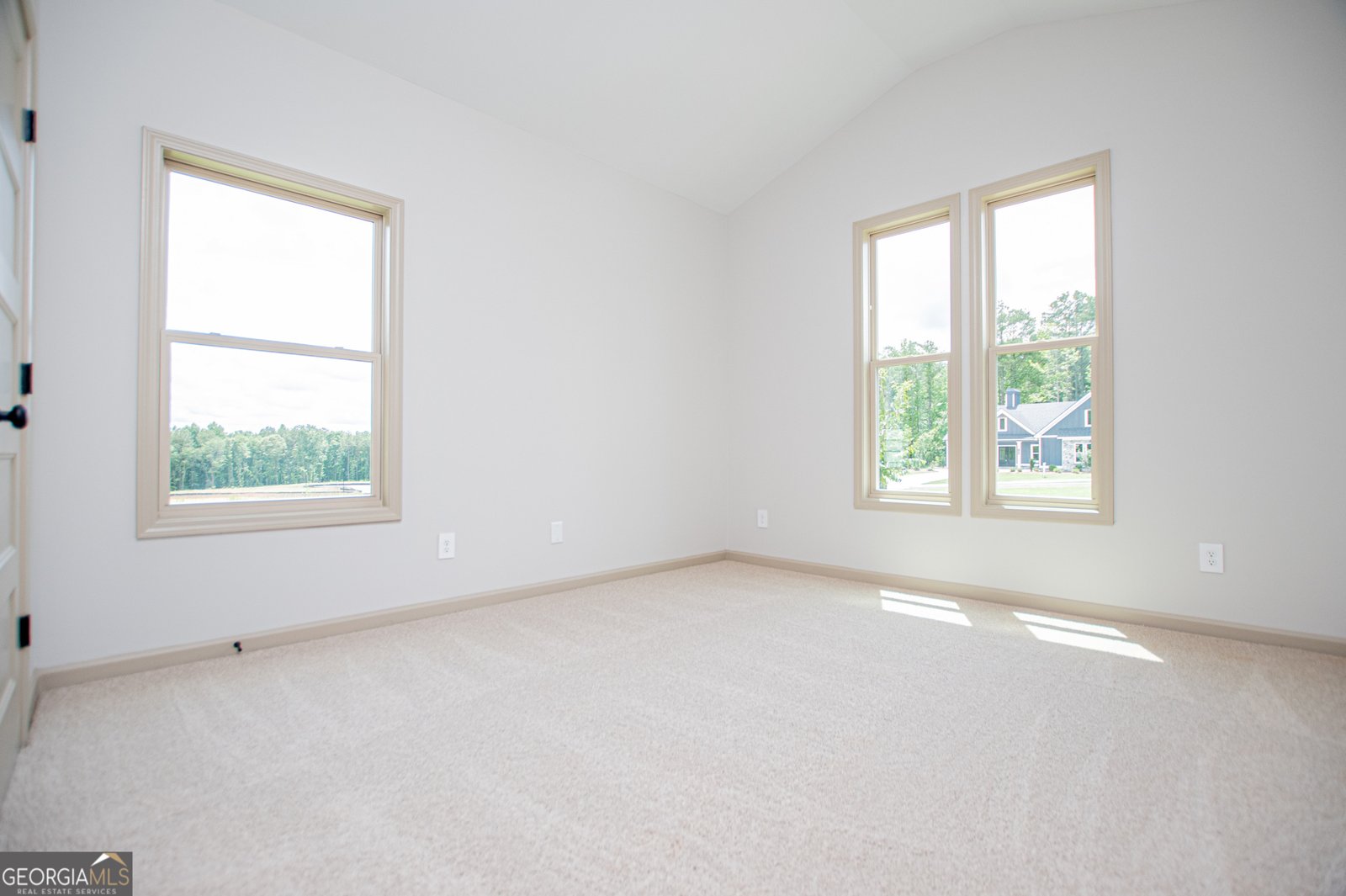 133 Woodford Drive Roopville - Photo 93
