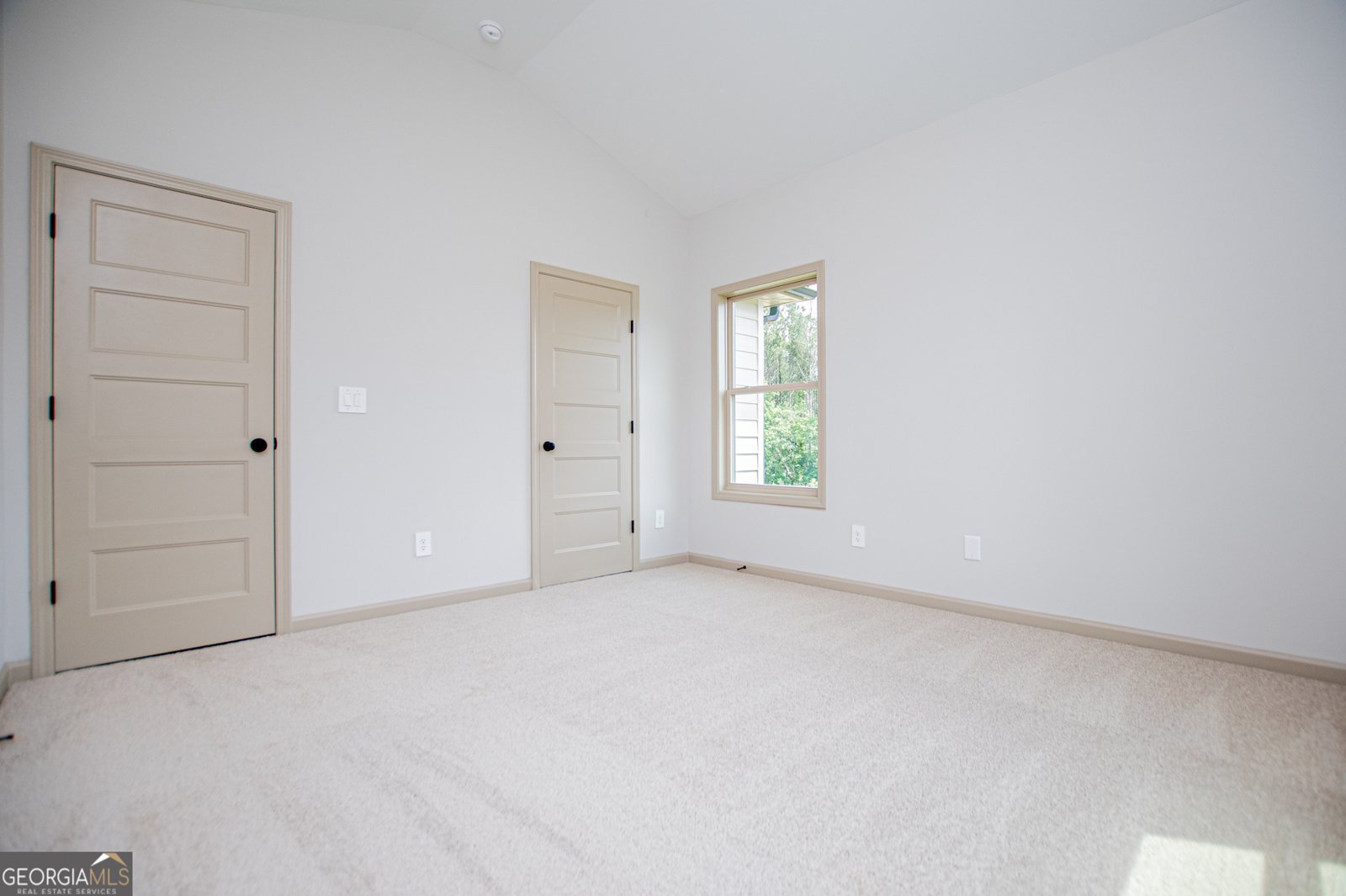 133 Woodford Drive Roopville - Photo 94