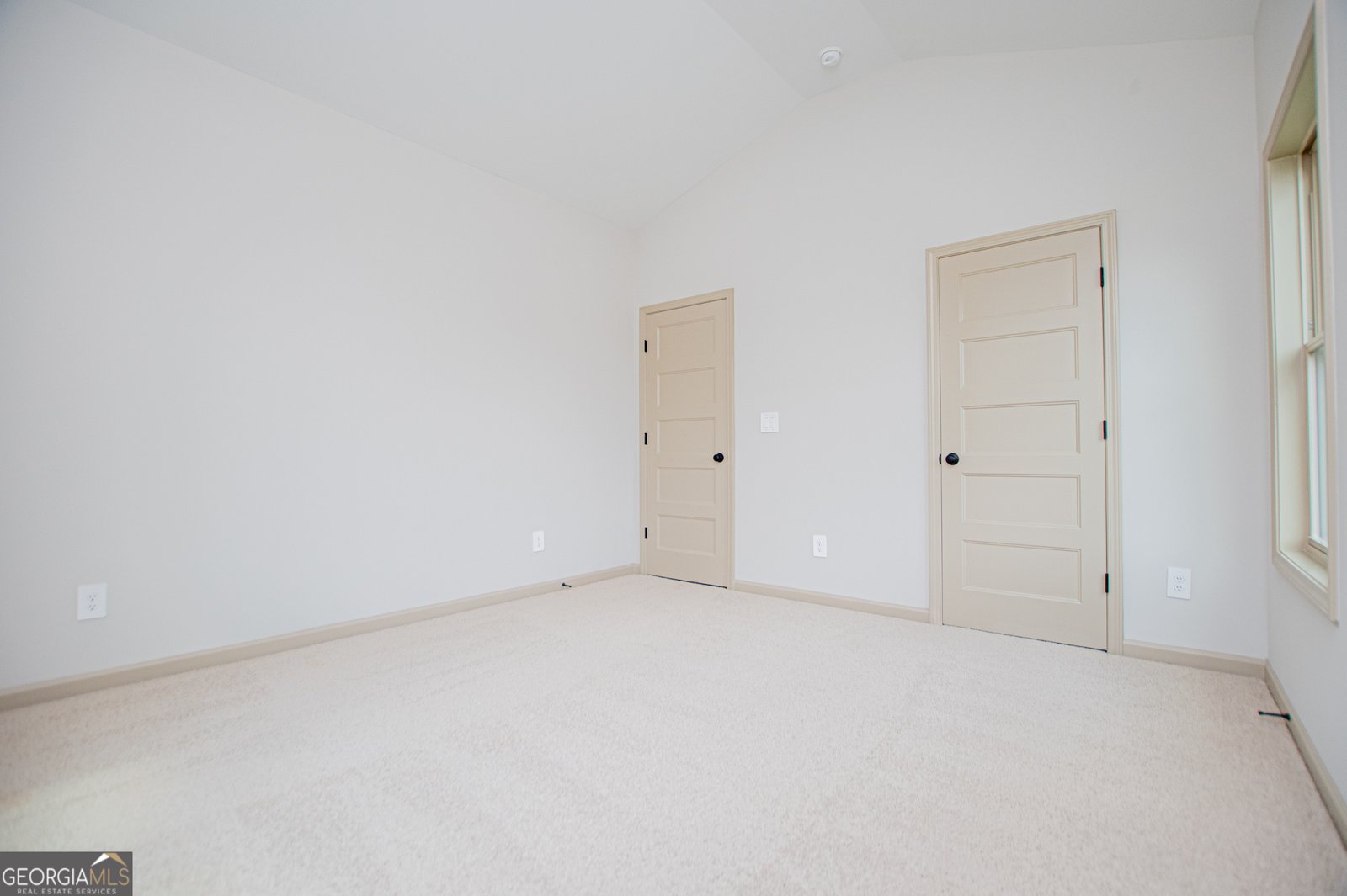 133 Woodford Drive Roopville - Photo 95