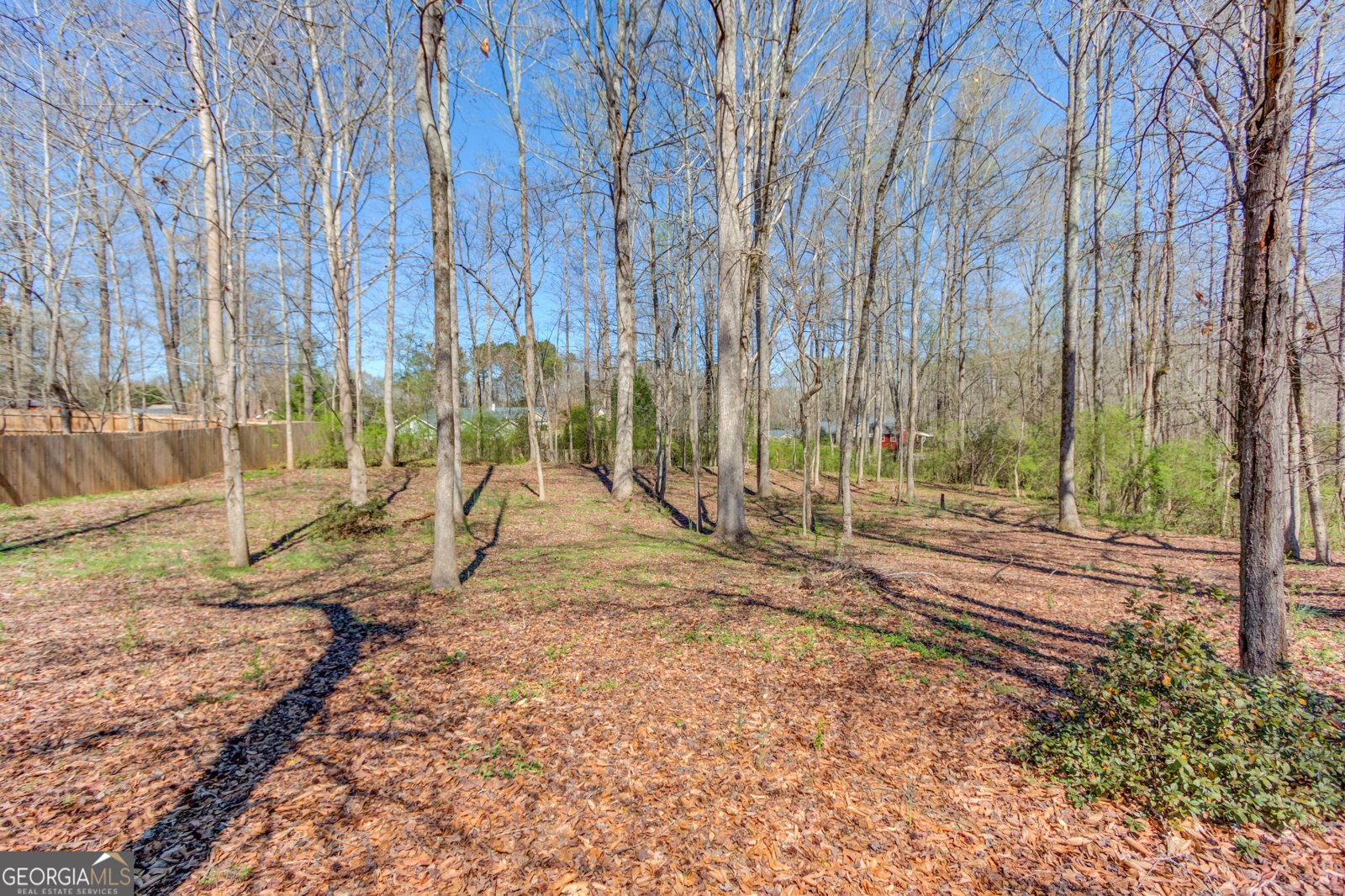 123 Briar Rose Boulevard Jefferson - Photo 38