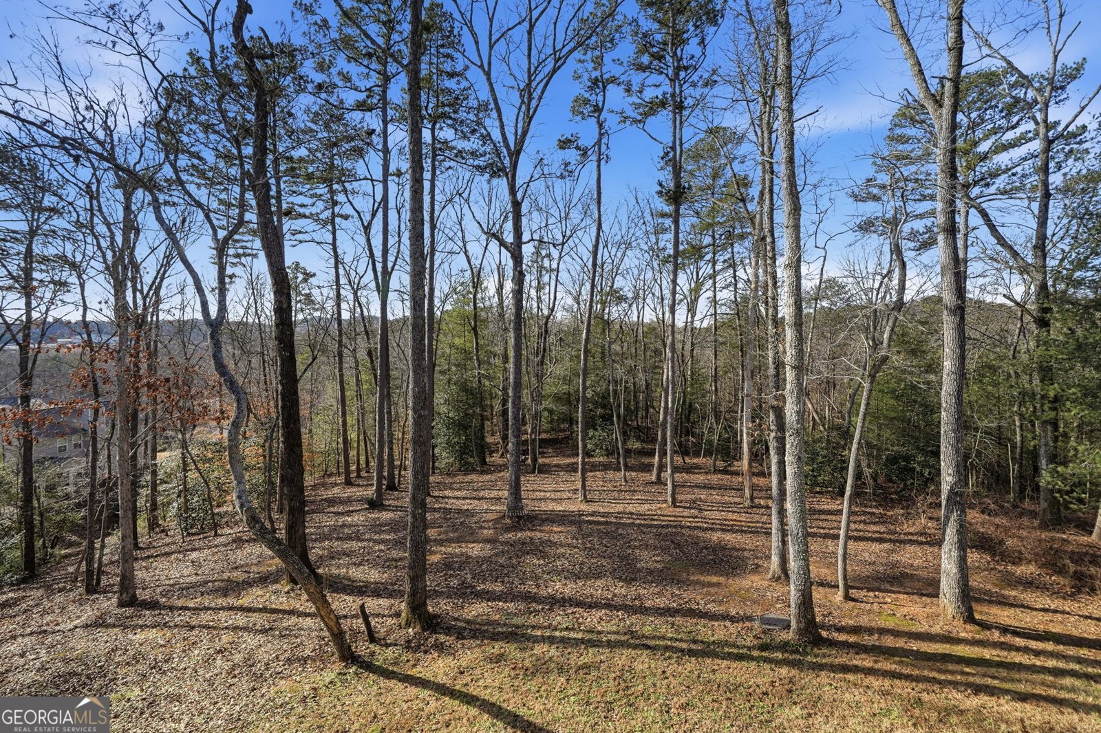 218 Highland Pointe Drive Ellijay - Photo 44