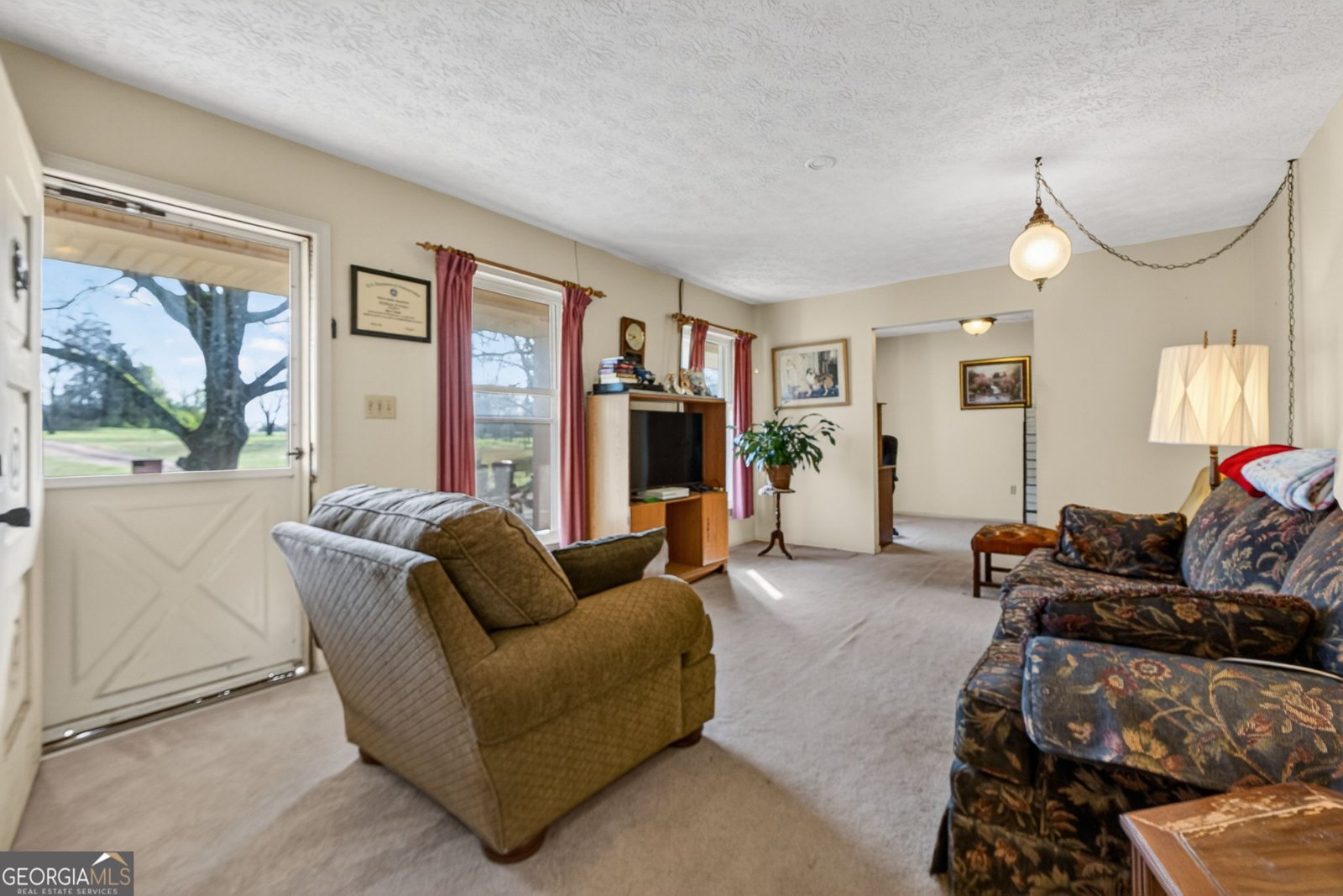 2411 Williamson Zebulon Road Williamson - Photo 6