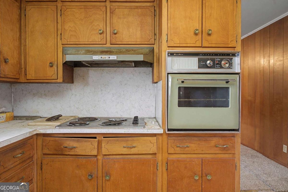 1065 Cartersville Street Ball Ground - Photo 46