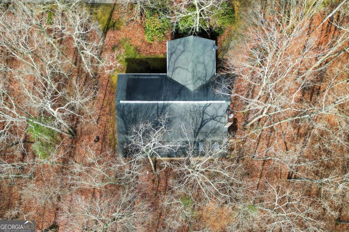 591 Oak Ridge Road Ellijay - Photo 28