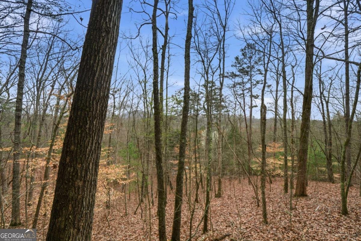 591 Oak Ridge Road Ellijay - Photo 29