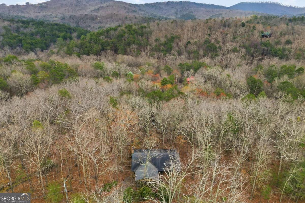 591 Oak Ridge Road Ellijay - Photo 30