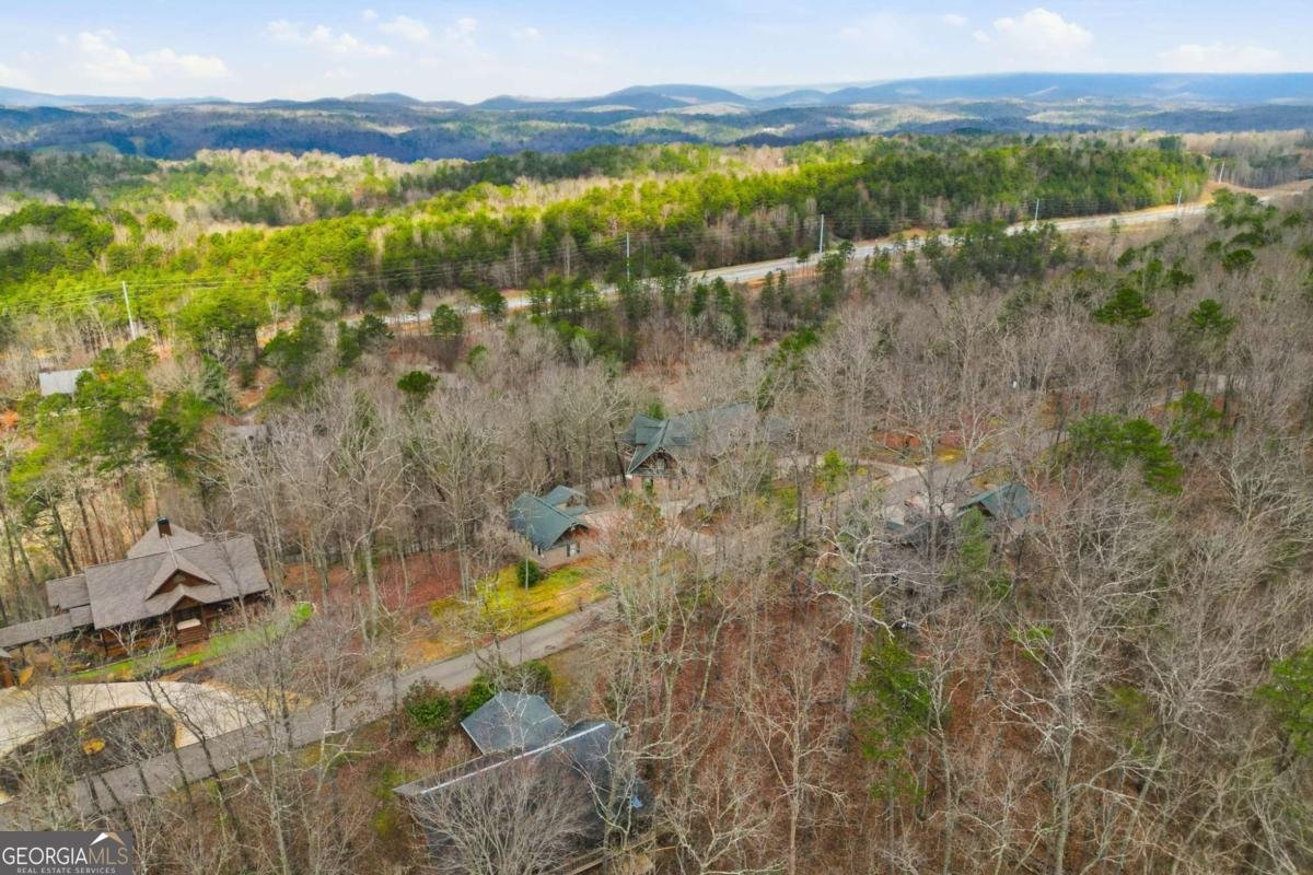 591 Oak Ridge Road Ellijay - Photo 31