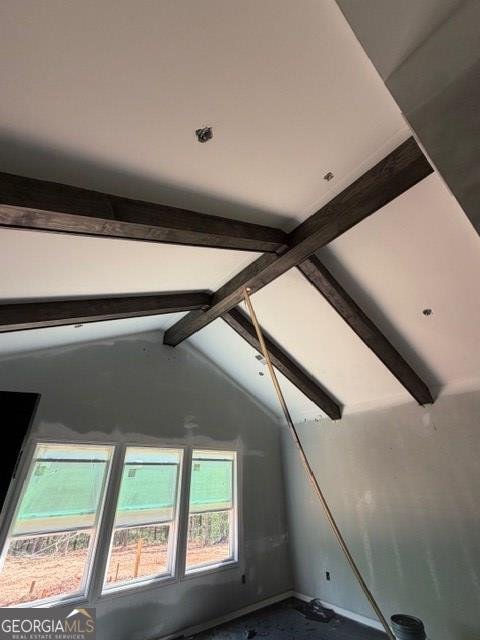 127 Woodford Drive Roopville - Photo 7