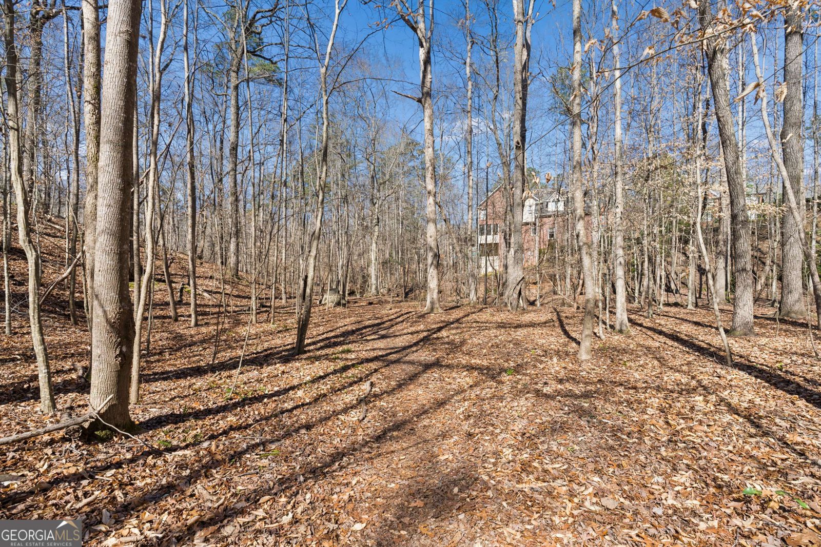 535 Water Shadow Lane Alpharetta - Photo 66