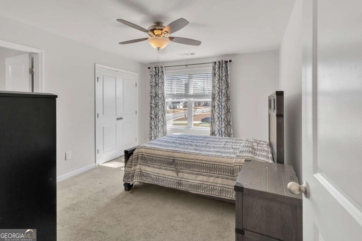 244 Wild Rose Canton - Photo 30