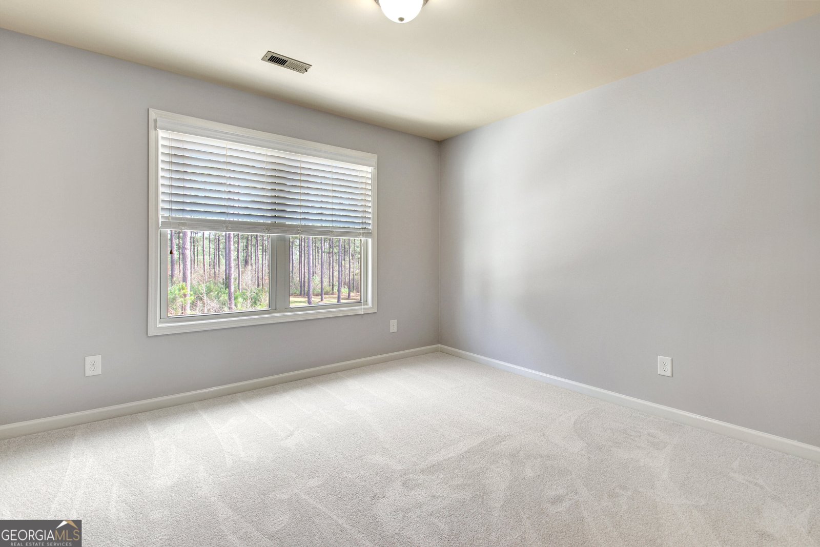 201 Fox Hall Crossing Senoia - Photo 37