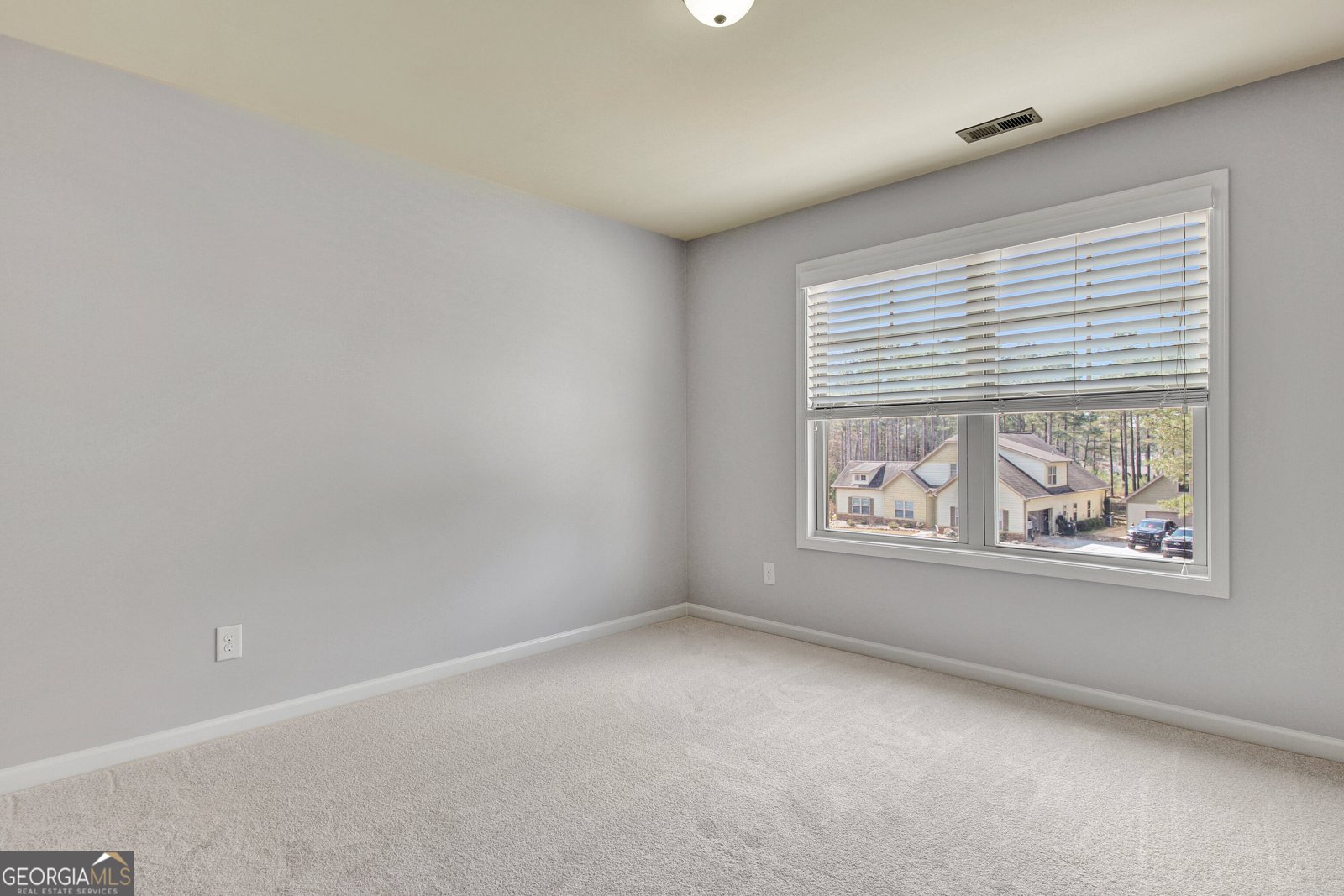 201 Fox Hall Crossing Senoia - Photo 38