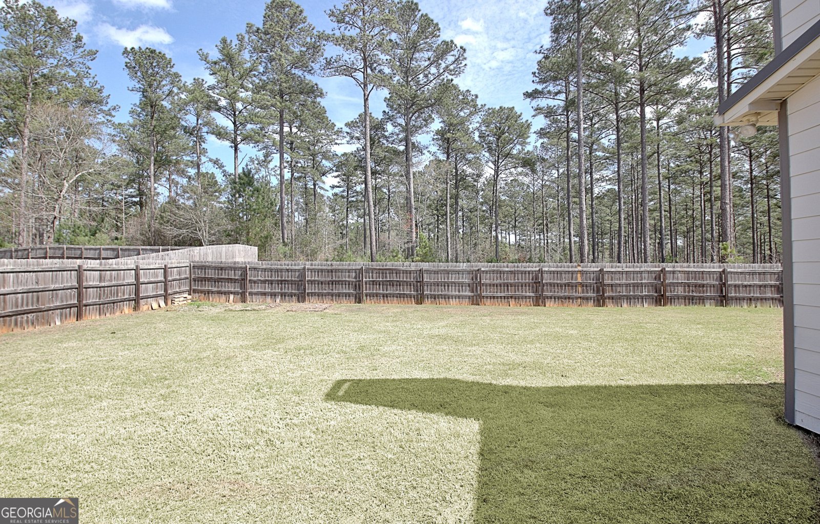 201 Fox Hall Crossing Senoia - Photo 40