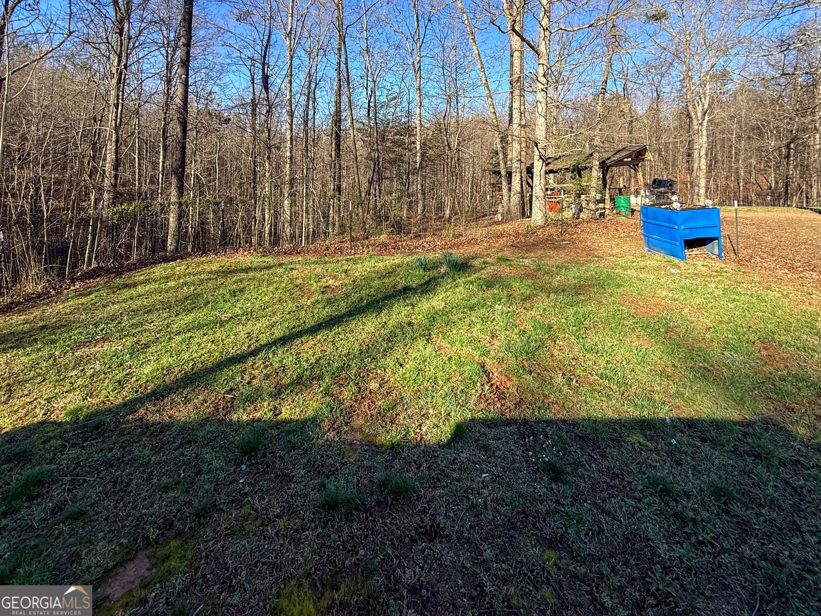 1177 Twin River Orchard Road Demorest - Photo 18