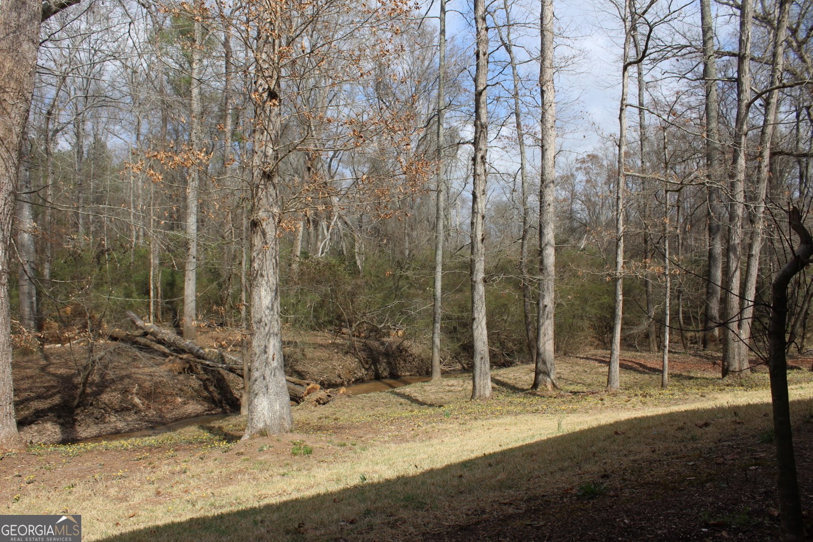 2021 Irwin Bridge Road Conyers - Photo 73