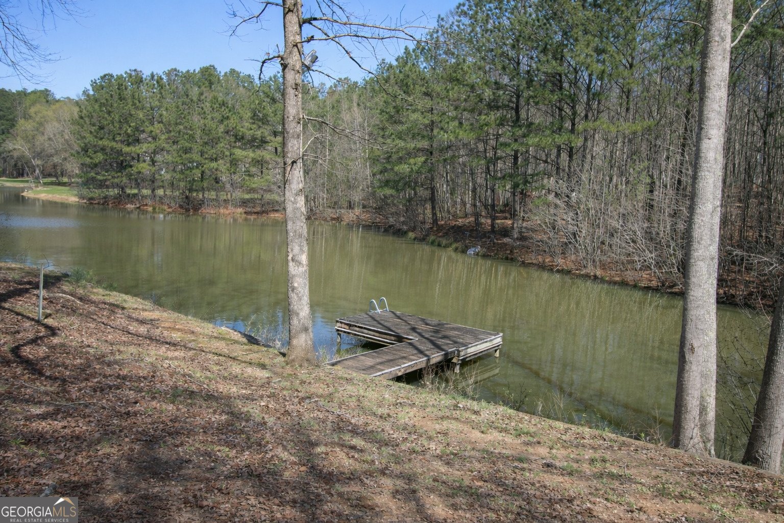 397 Sandhill Hickory Level Road Carrollton - Photo 18