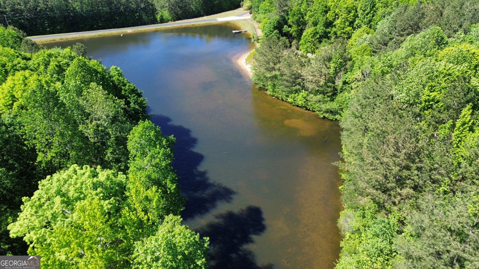 397 Sandhill Hickory Level Road Carrollton - Photo 22