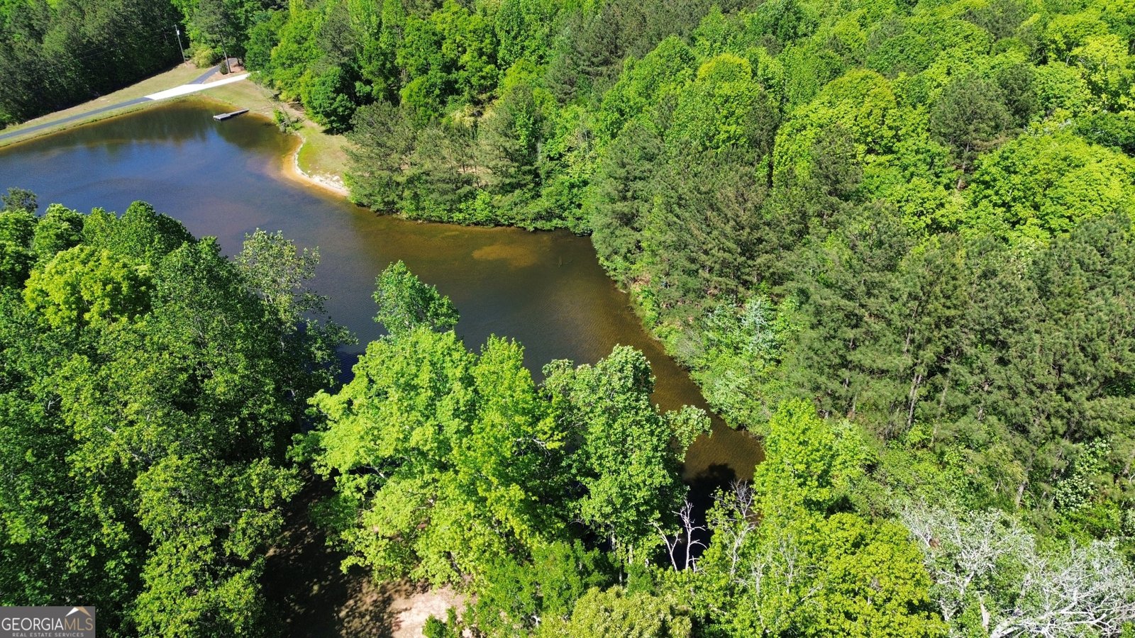 397 Sandhill Hickory Level Road Carrollton - Photo 23