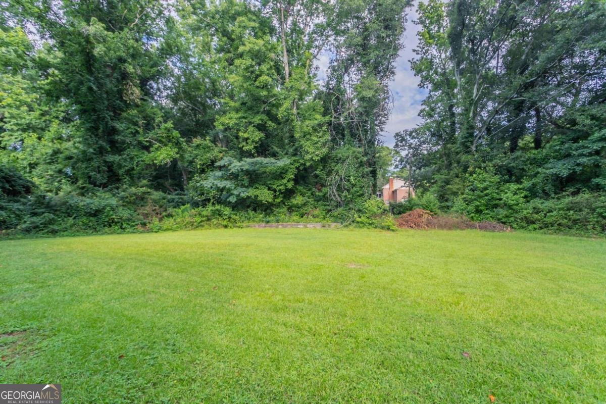 542 Hasty Drive Lithia Springs - Photo 35