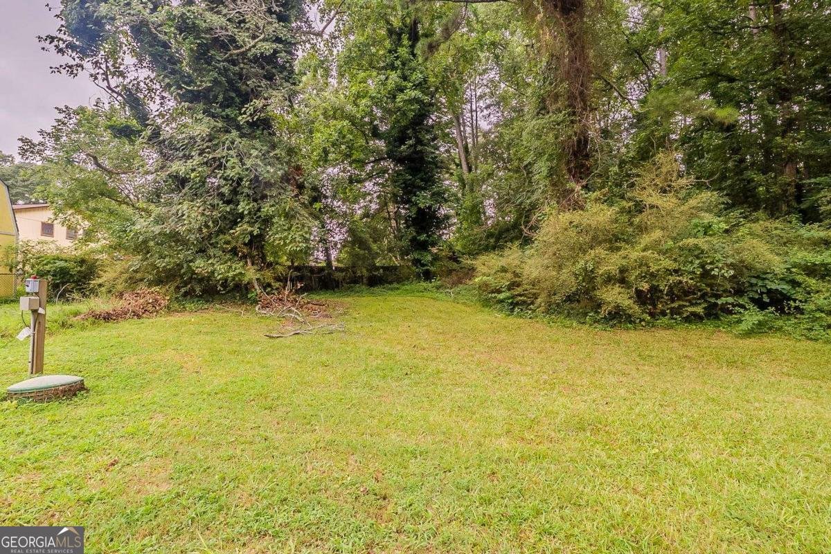 1202 Palisades Lane Ellenwood - Photo 31