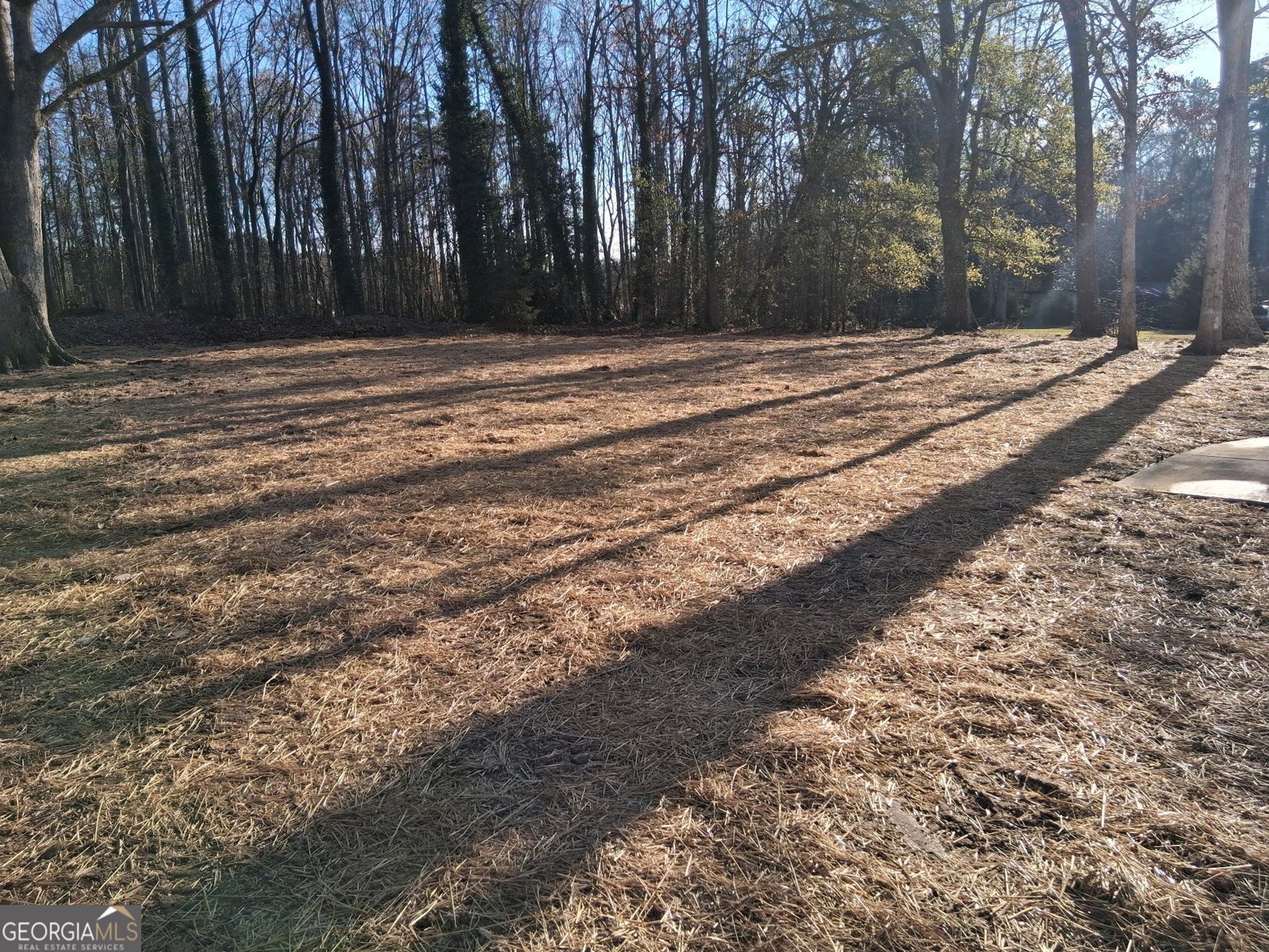 151 Richardson Street Toccoa - Photo 34