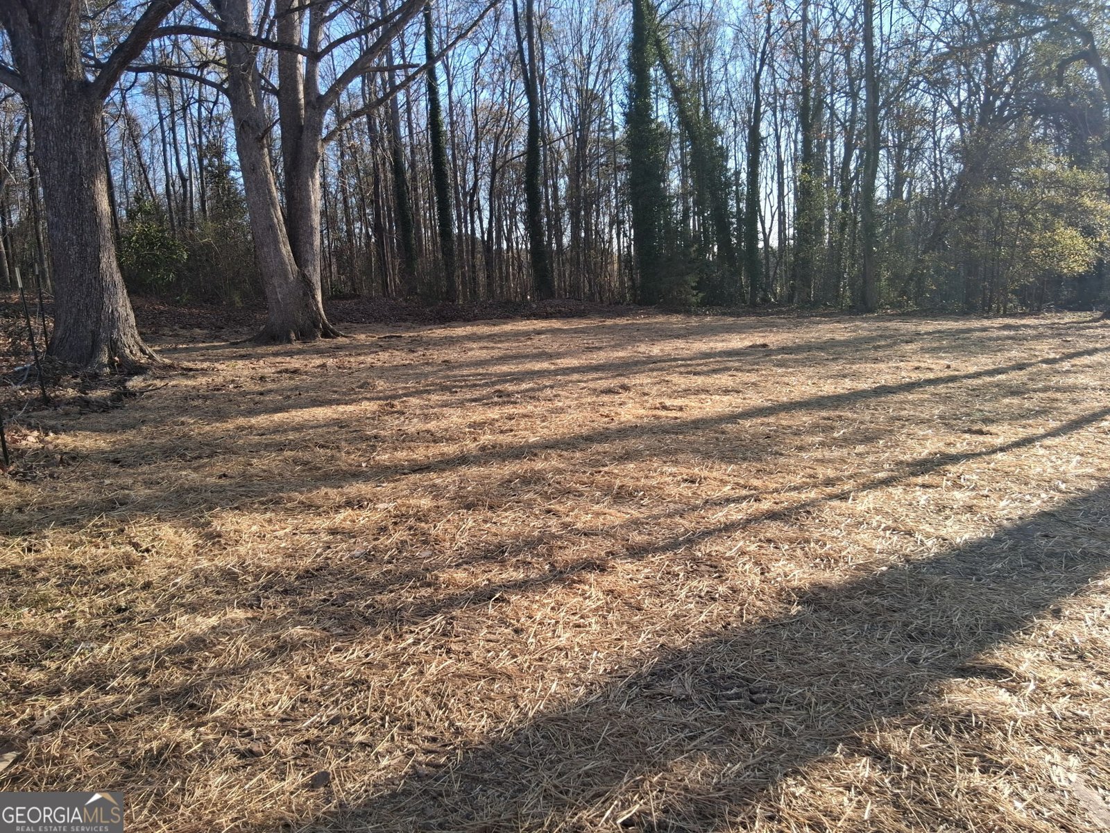 151 Richardson Street Toccoa - Photo 35