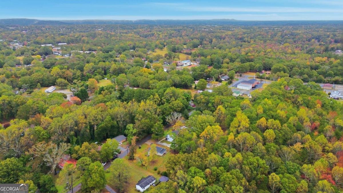 151 Richardson Street Toccoa - Photo 39