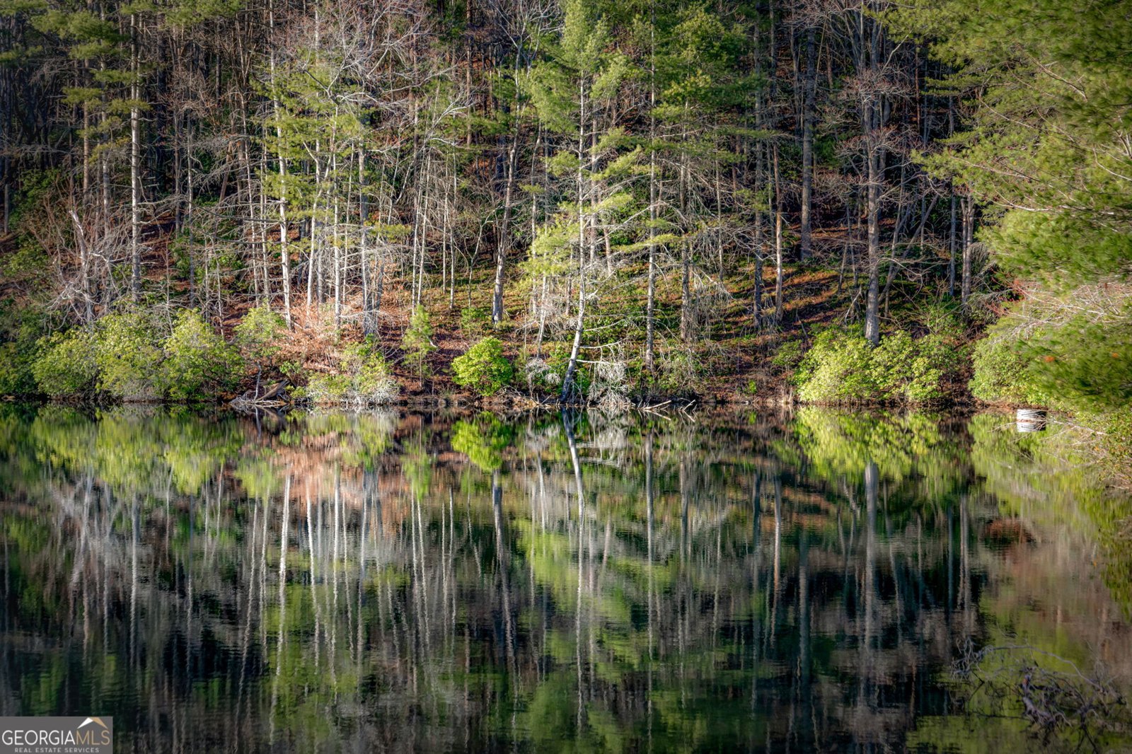 120 Cohutta Ranch Road Blue Ridge - Photo 7