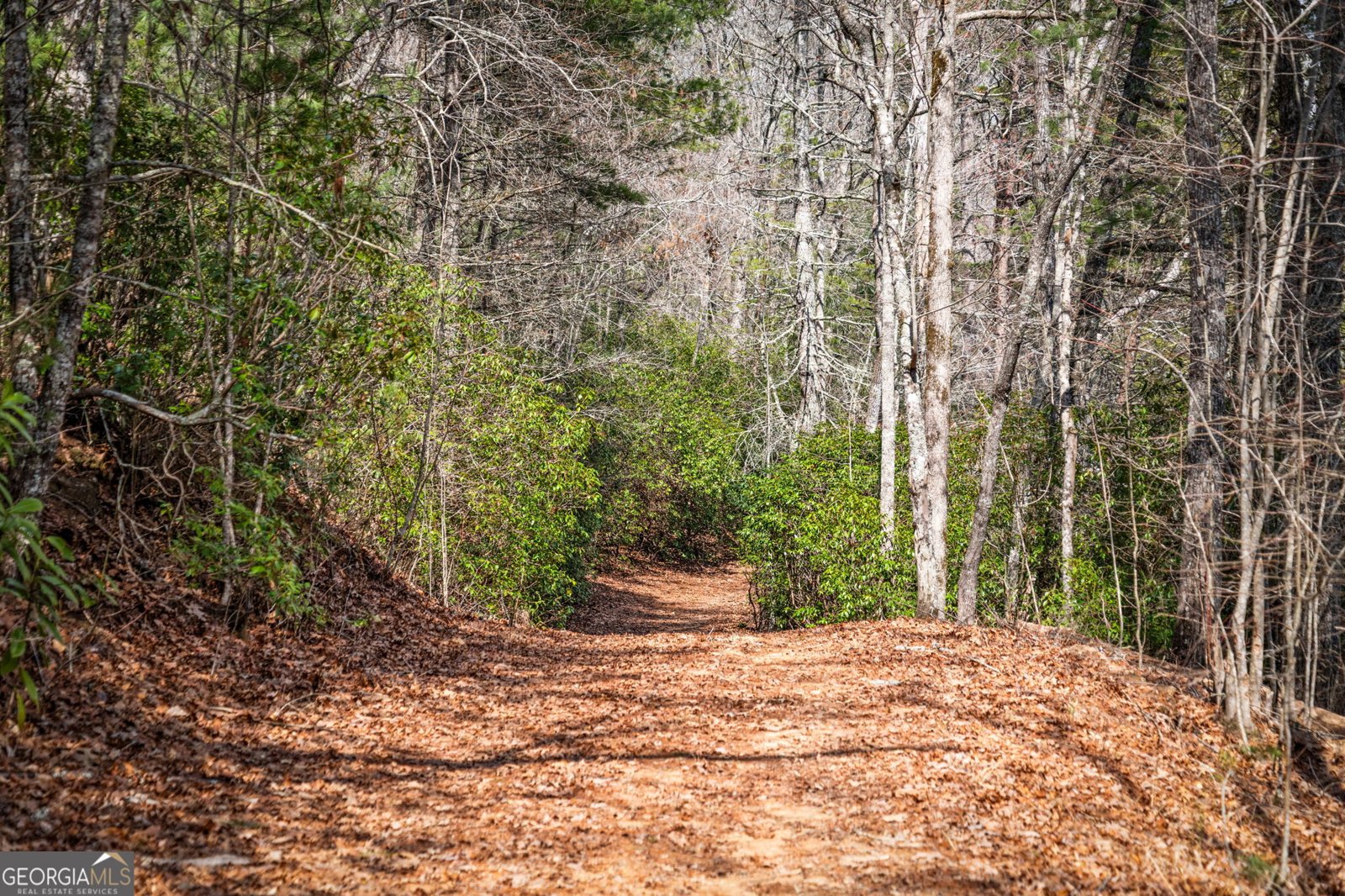 120 Cohutta Ranch Road Blue Ridge - Photo 90