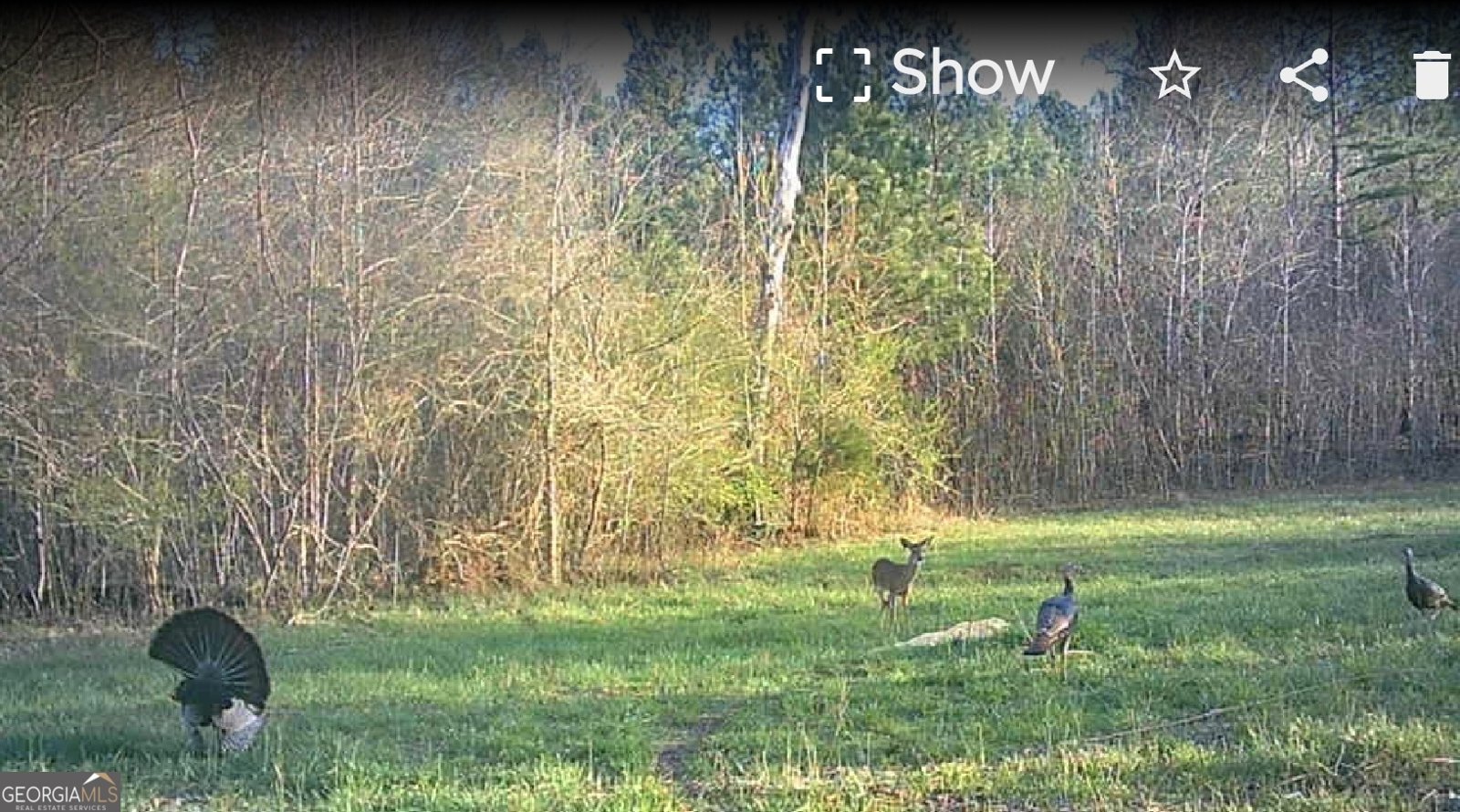 340 Noles Road Franklin - Photo 29